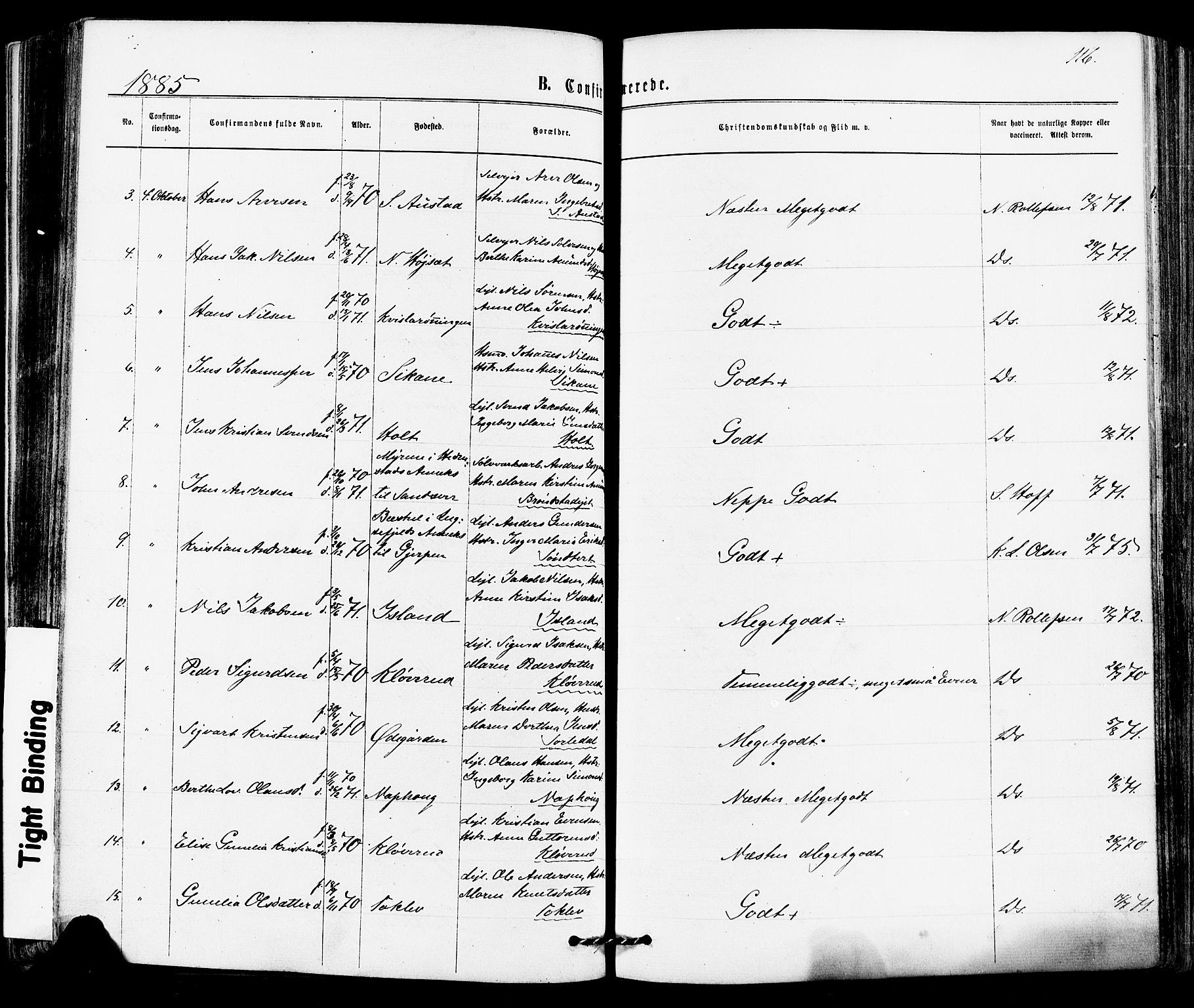 Siljan kirkebøker, AV/SAKO-A-300/F/Fa/L0002: Parish register (official) no. 2, 1870-1895, p. 116