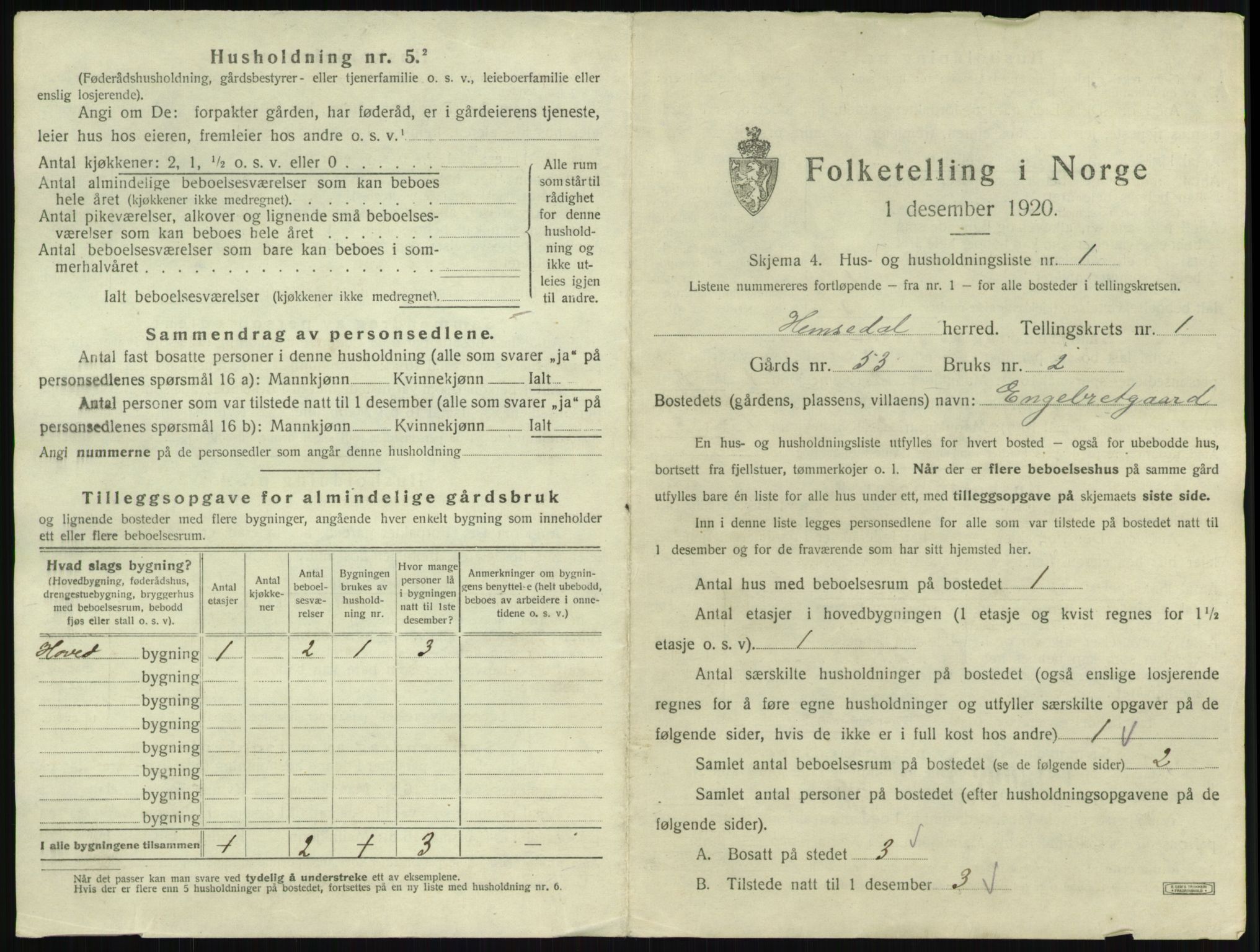 SAKO, 1920 census for Hemsedal, 1920, p. 31