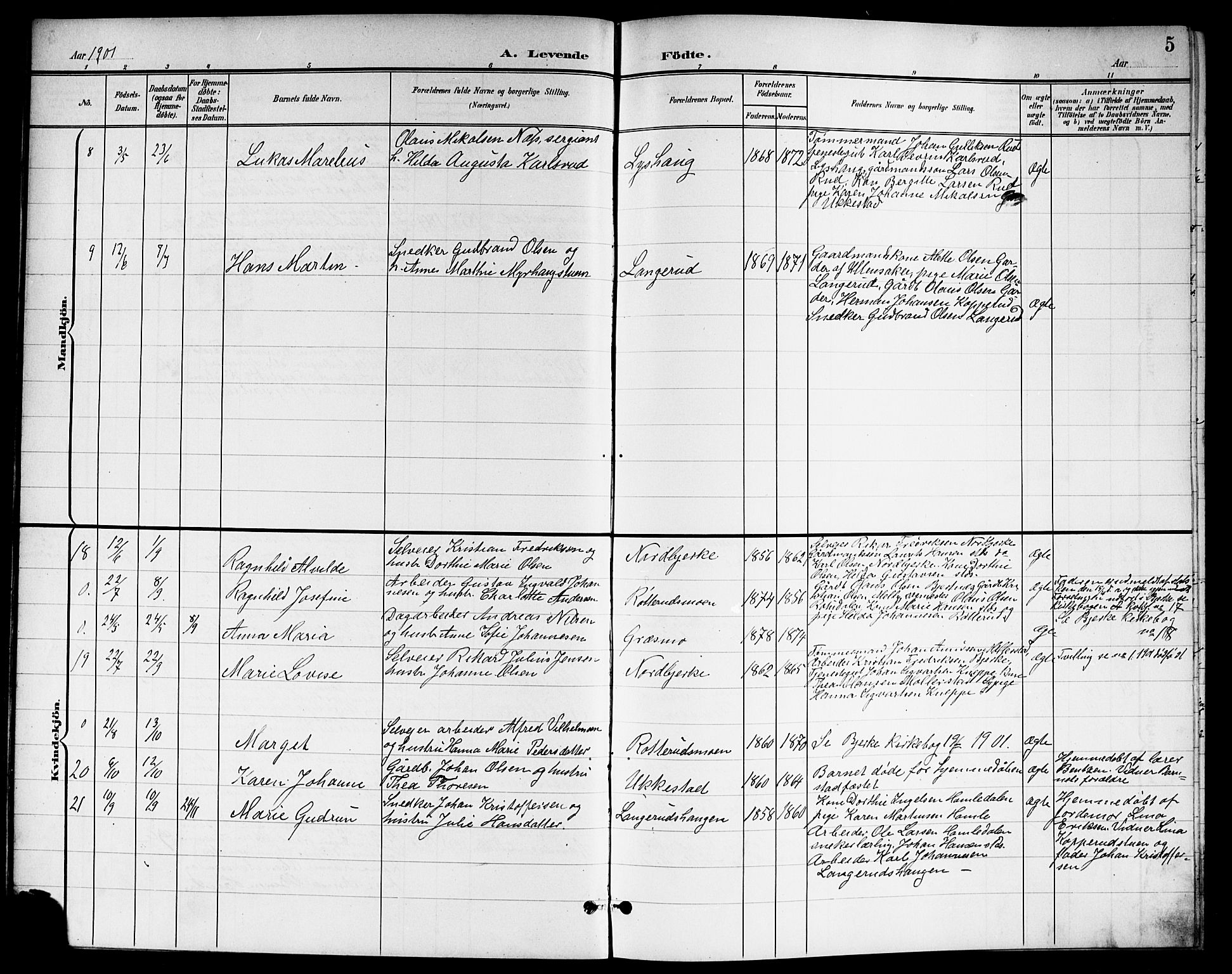 Nannestad prestekontor Kirkebøker, AV/SAO-A-10414a/G/Ga/L0002: Parish register (copy) no. I 2, 1901-1913, p. 5