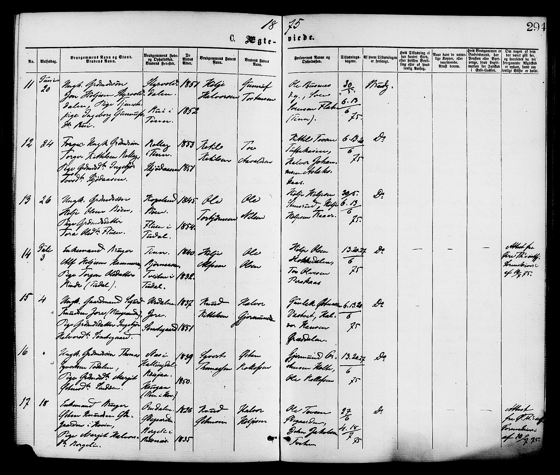Gransherad kirkebøker, SAKO/A-267/F/Fa/L0004: Parish register (official) no. I 4, 1871-1886, p. 294
