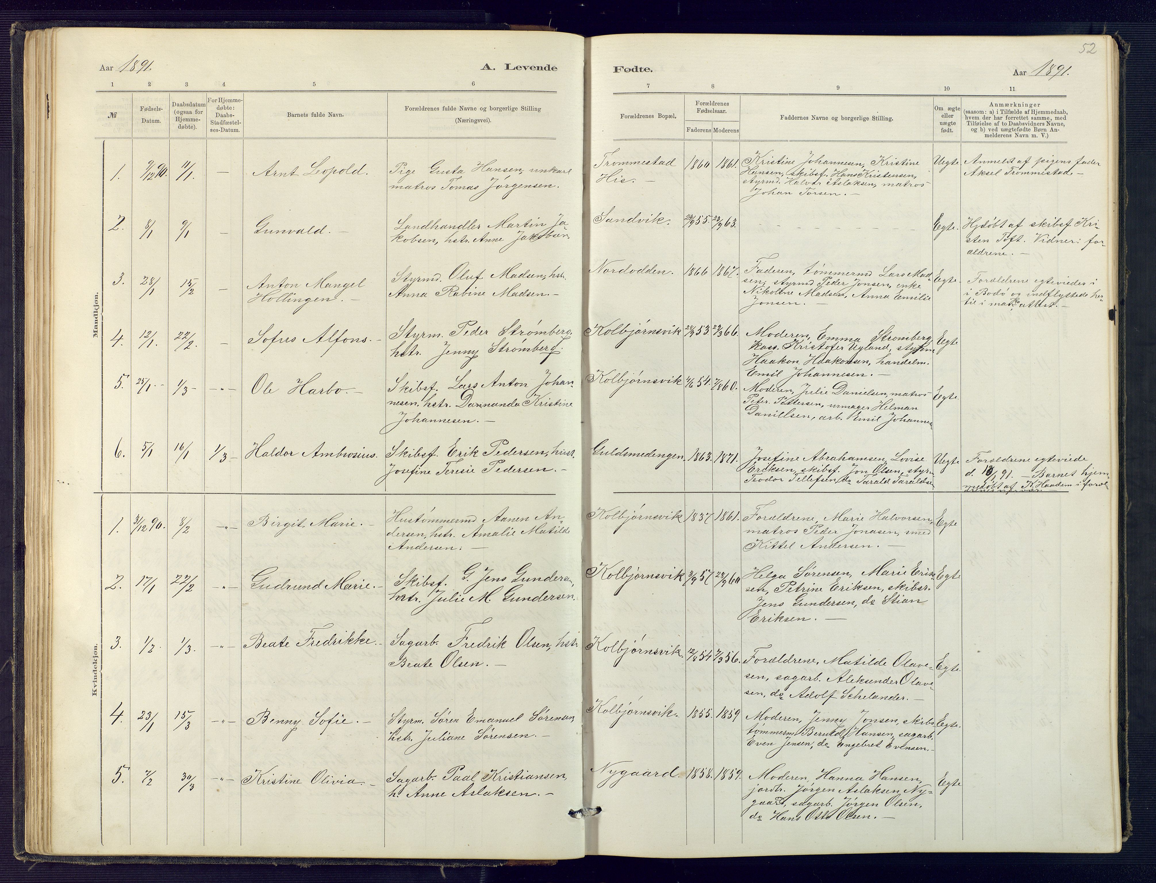 Hisøy sokneprestkontor, AV/SAK-1111-0020/F/Fb/L0003: Parish register (copy) no. B 3, 1885-1905, p. 52