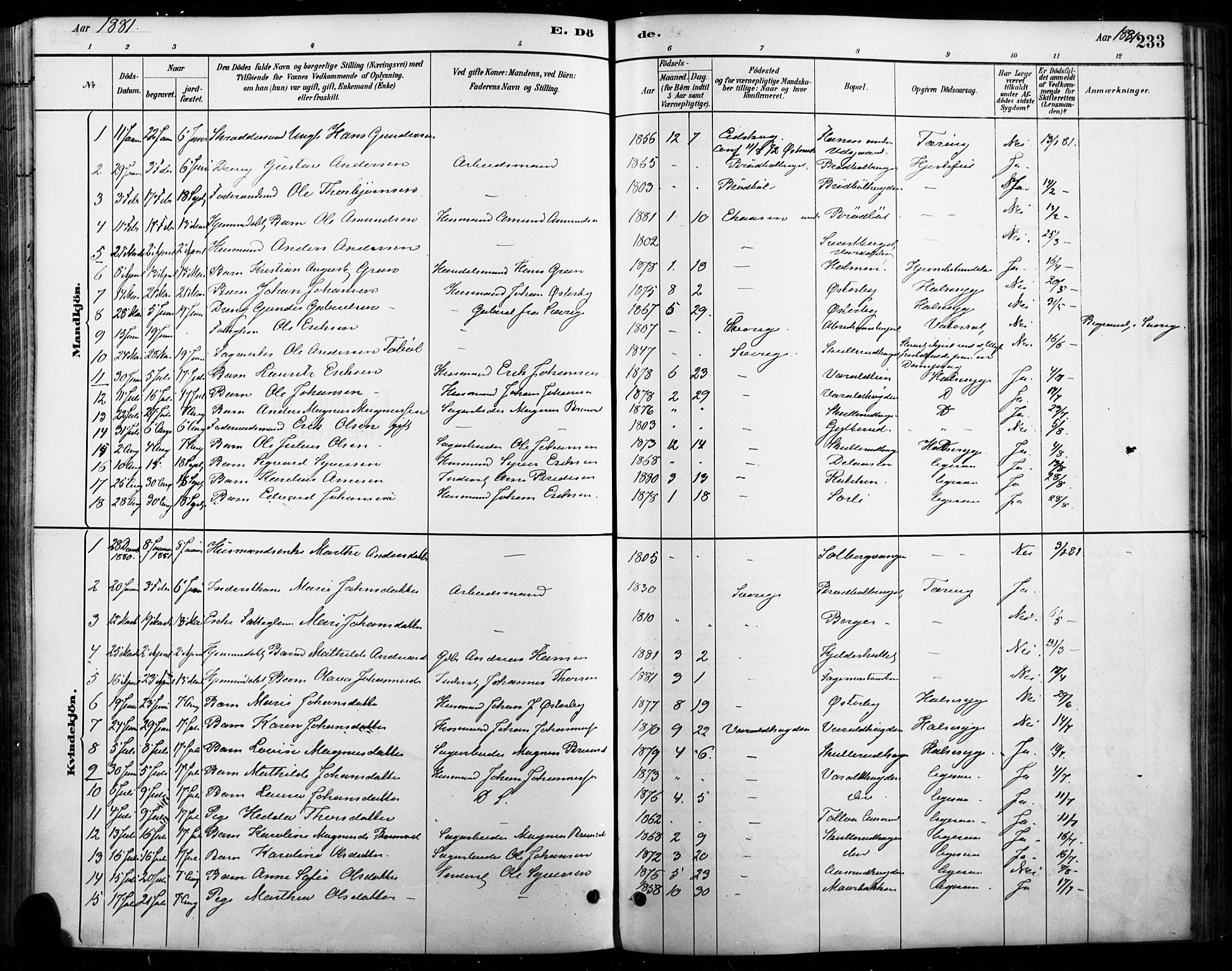 Vinger prestekontor, AV/SAH-PREST-024/H/Ha/Haa/L0015: Parish register (official) no. 15, 1881-1900, p. 233