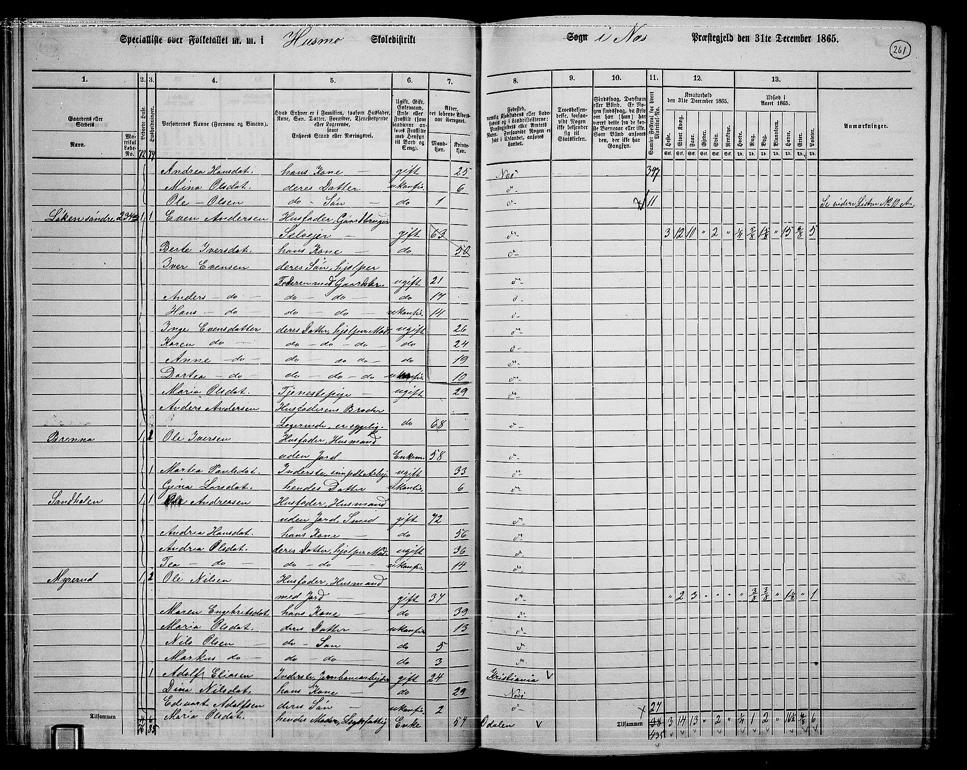 RA, 1865 census for Nes, 1865, p. 244