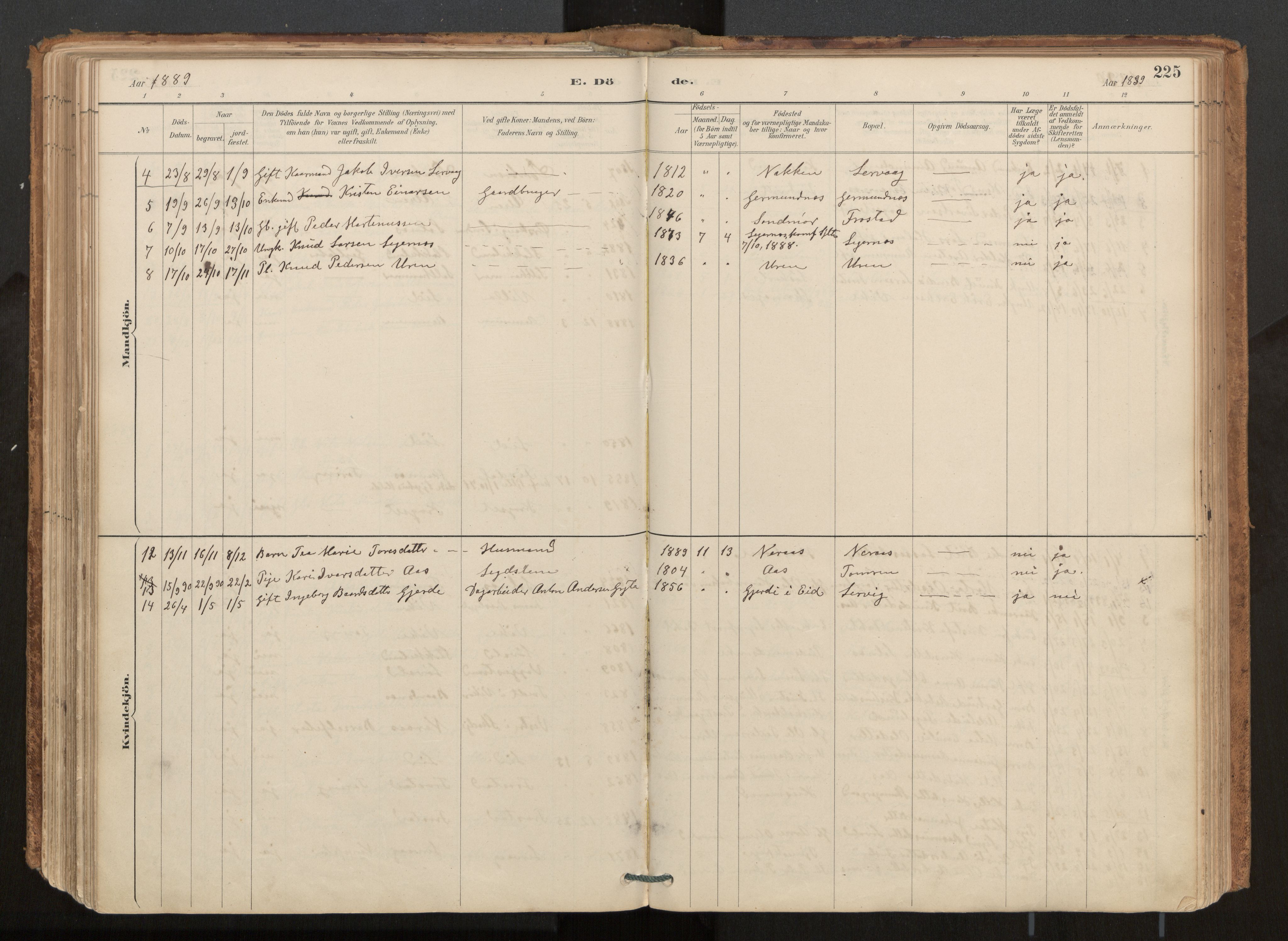 Ministerialprotokoller, klokkerbøker og fødselsregistre - Møre og Romsdal, AV/SAT-A-1454/539/L0531: Parish register (official) no. 539A04, 1887-1913, p. 225