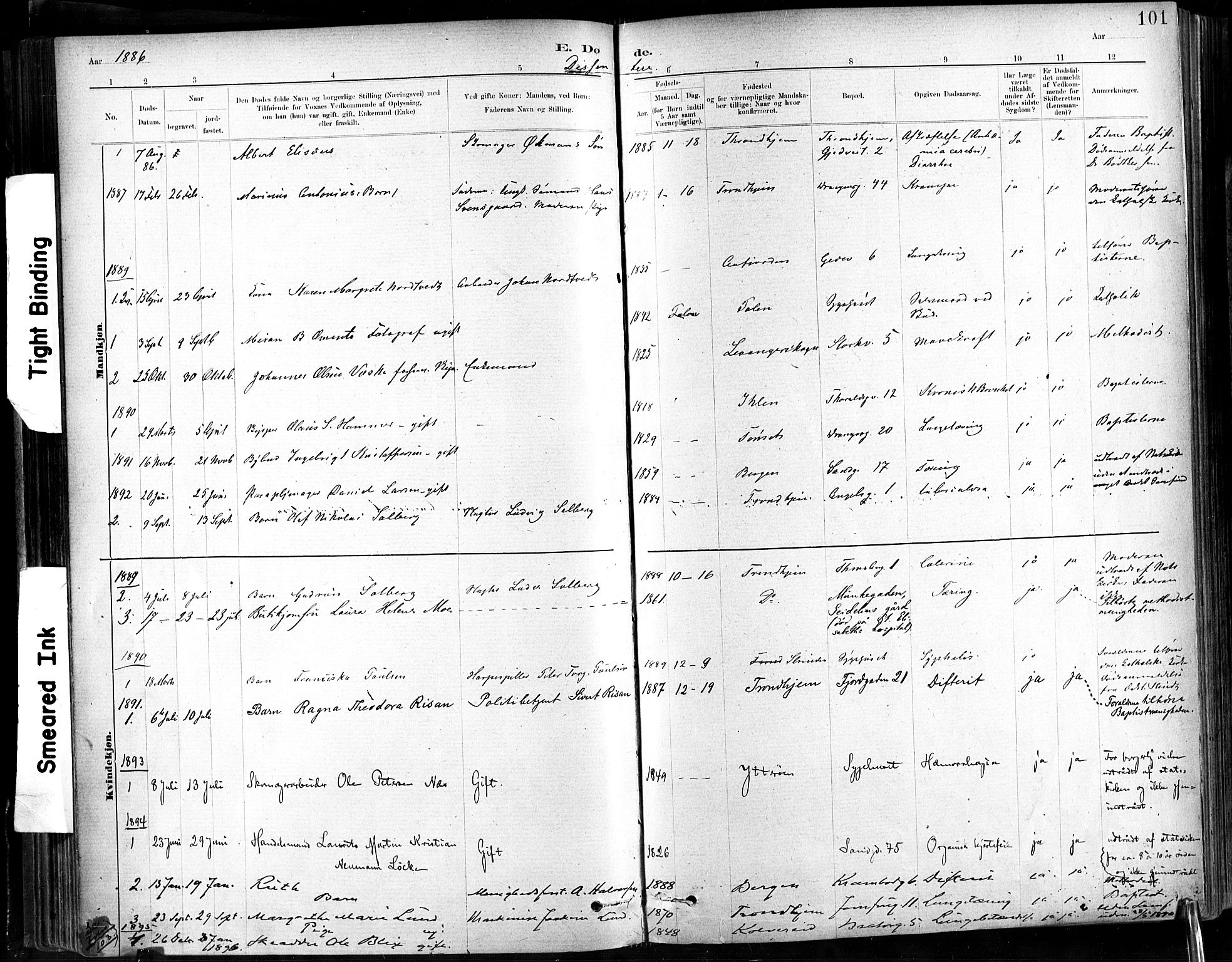 Ministerialprotokoller, klokkerbøker og fødselsregistre - Sør-Trøndelag, SAT/A-1456/602/L0120: Parish register (official) no. 602A18, 1880-1913, p. 101