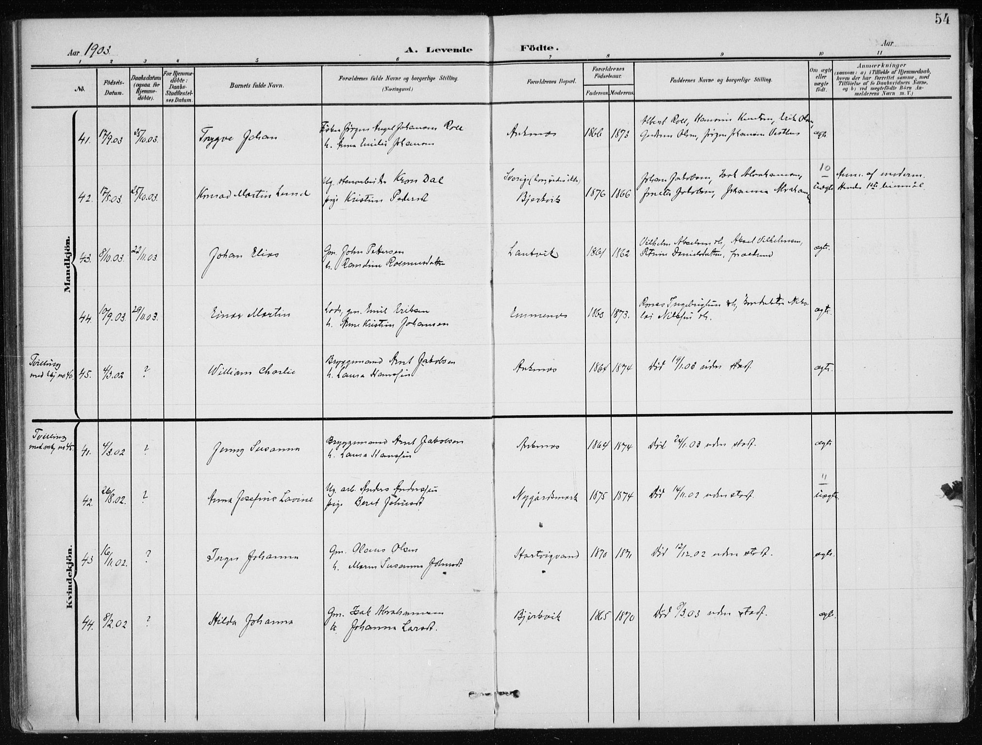 Ministerialprotokoller, klokkerbøker og fødselsregistre - Nordland, SAT/A-1459/866/L0941: Parish register (official) no. 866A04, 1901-1917, p. 54