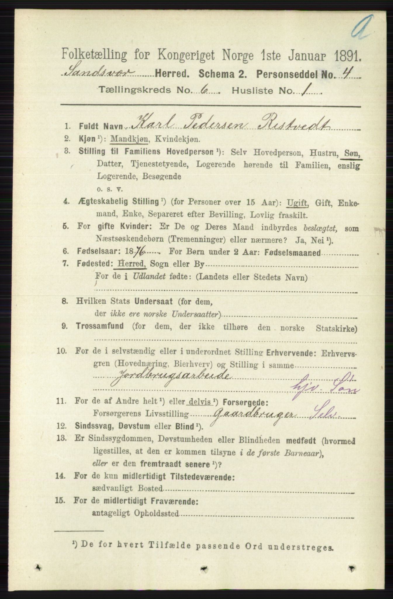 RA, 1891 census for 0629 Sandsvær, 1891, p. 3390