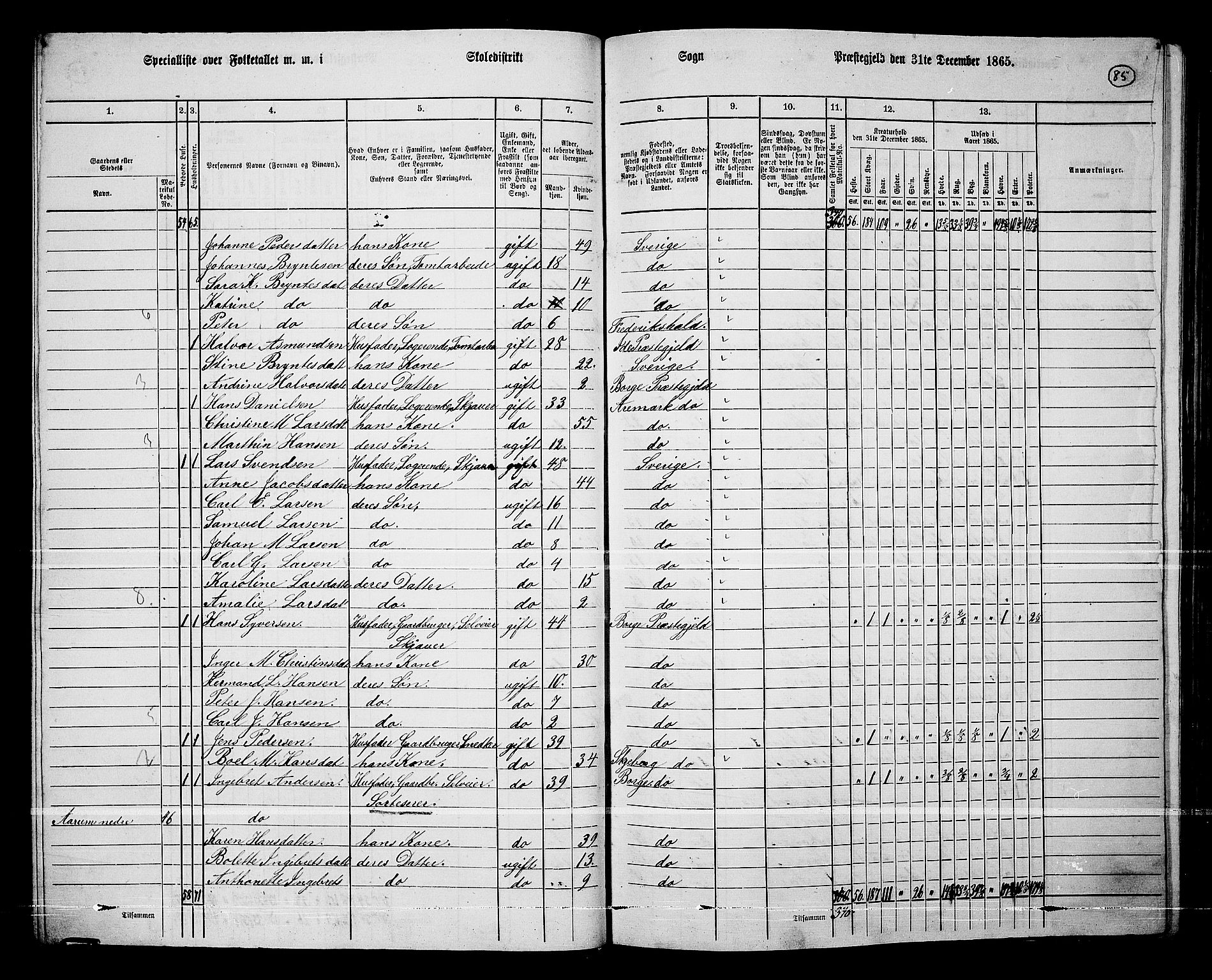 RA, 1865 census for Borge, 1865, p. 80