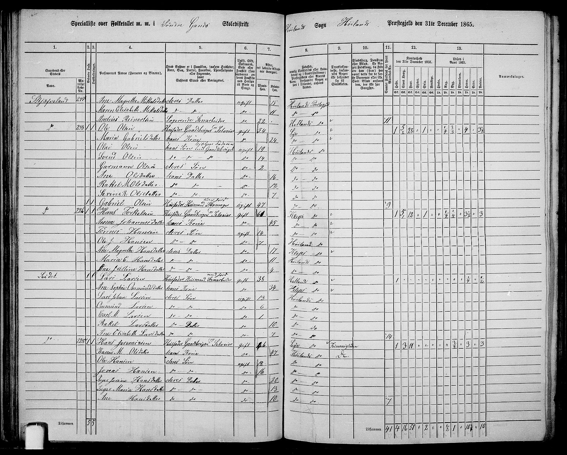 RA, 1865 census for Høyland, 1865, p. 51