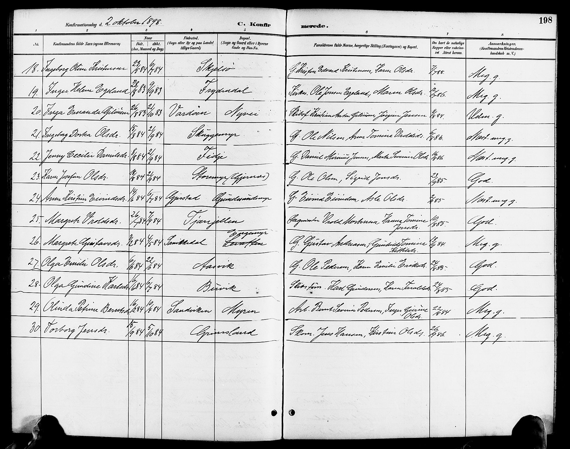 Søndeled sokneprestkontor, AV/SAK-1111-0038/F/Fa/L0005: Parish register (official) no. A 5, 1889-1899, p. 198