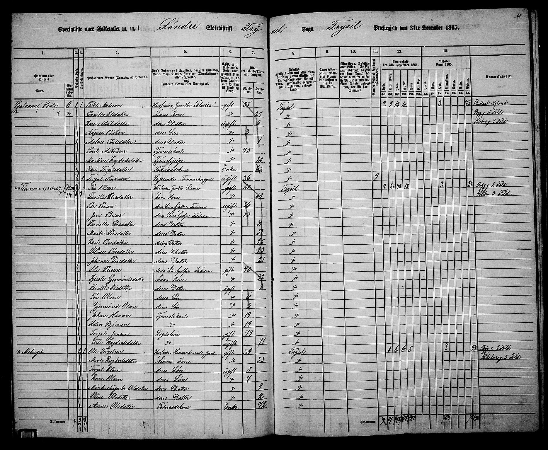 RA, 1865 census for Trysil, 1865, p. 97