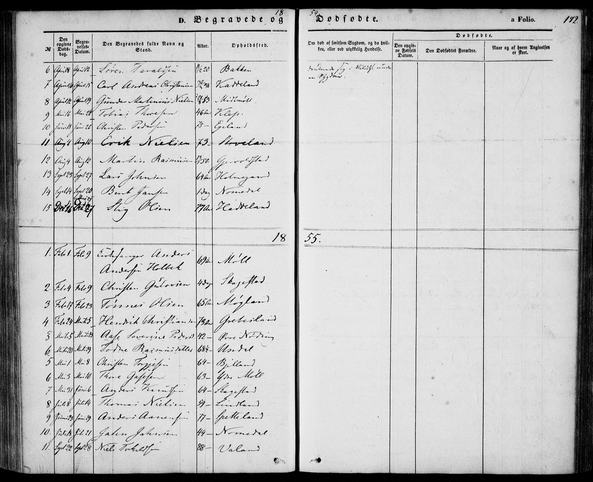 Holum sokneprestkontor, SAK/1111-0022/F/Fa/Faa/L0005: Parish register (official) no. A 5, 1850-1864, p. 172