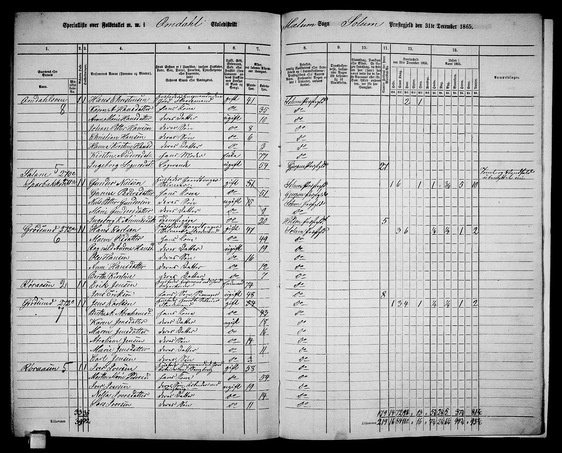 RA, 1865 census for Solum, 1865, p. 211