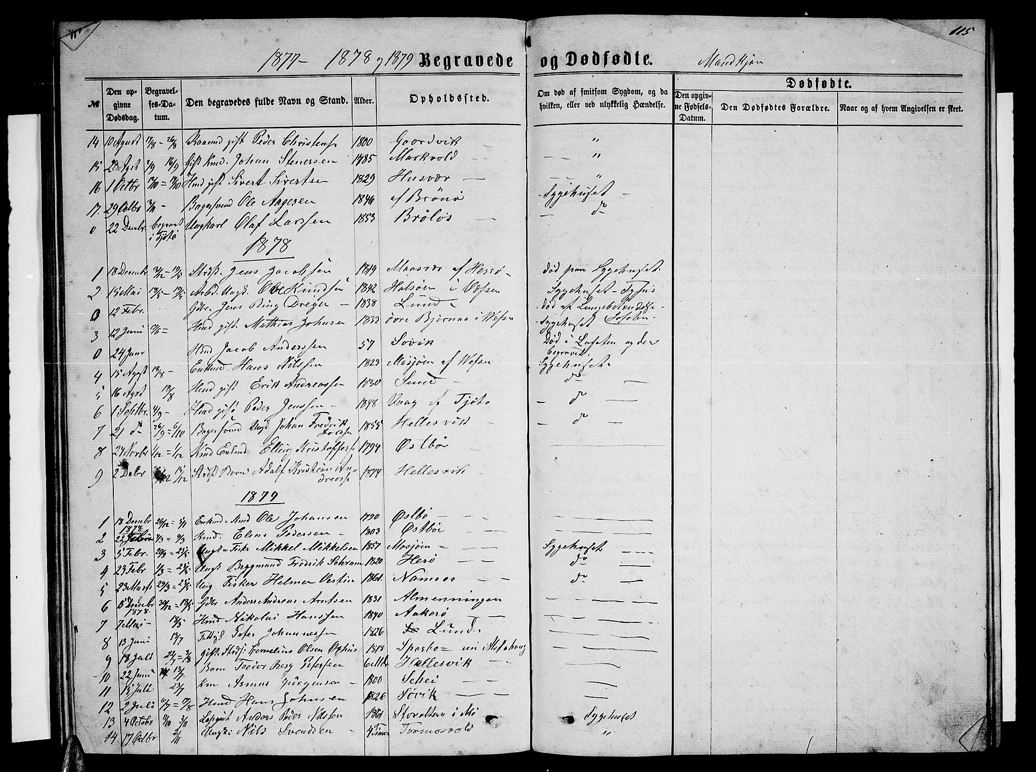 Ministerialprotokoller, klokkerbøker og fødselsregistre - Nordland, SAT/A-1459/830/L0461: Parish register (copy) no. 830C03, 1866-1881, p. 115