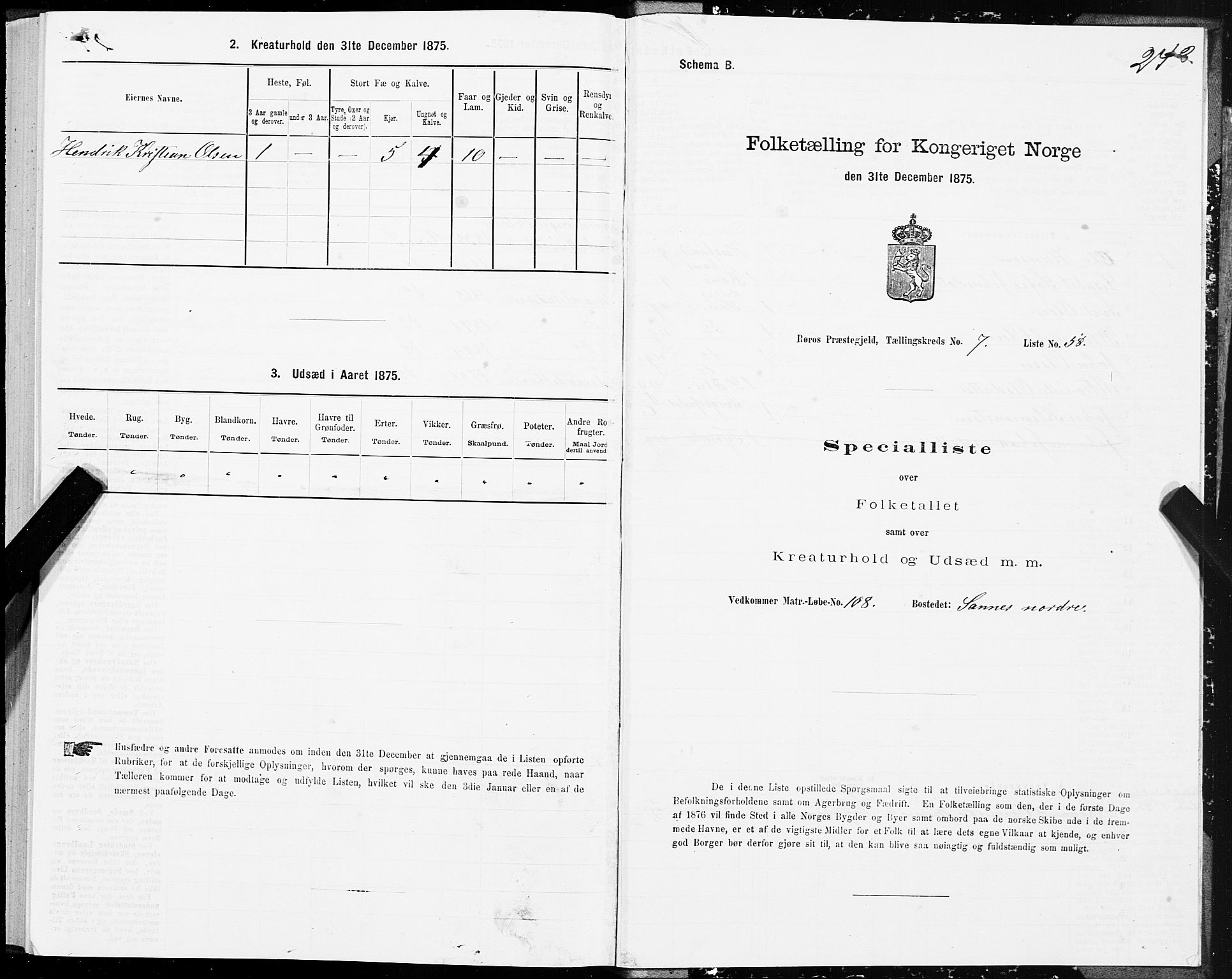 SAT, 1875 census for 1640P Røros, 1875, p. 4242