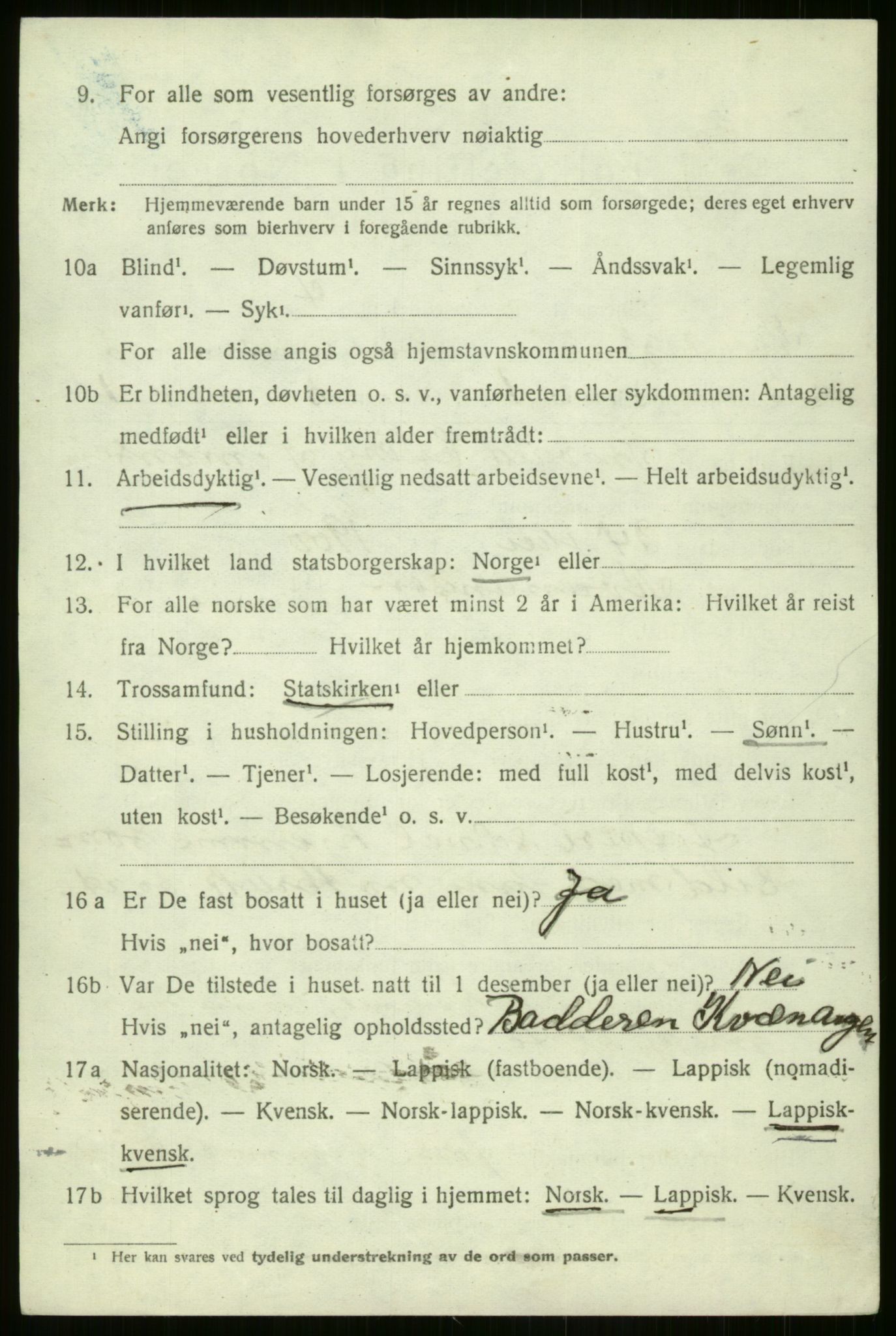 SATØ, 1920 census for Kvænangen, 1920, p. 1223