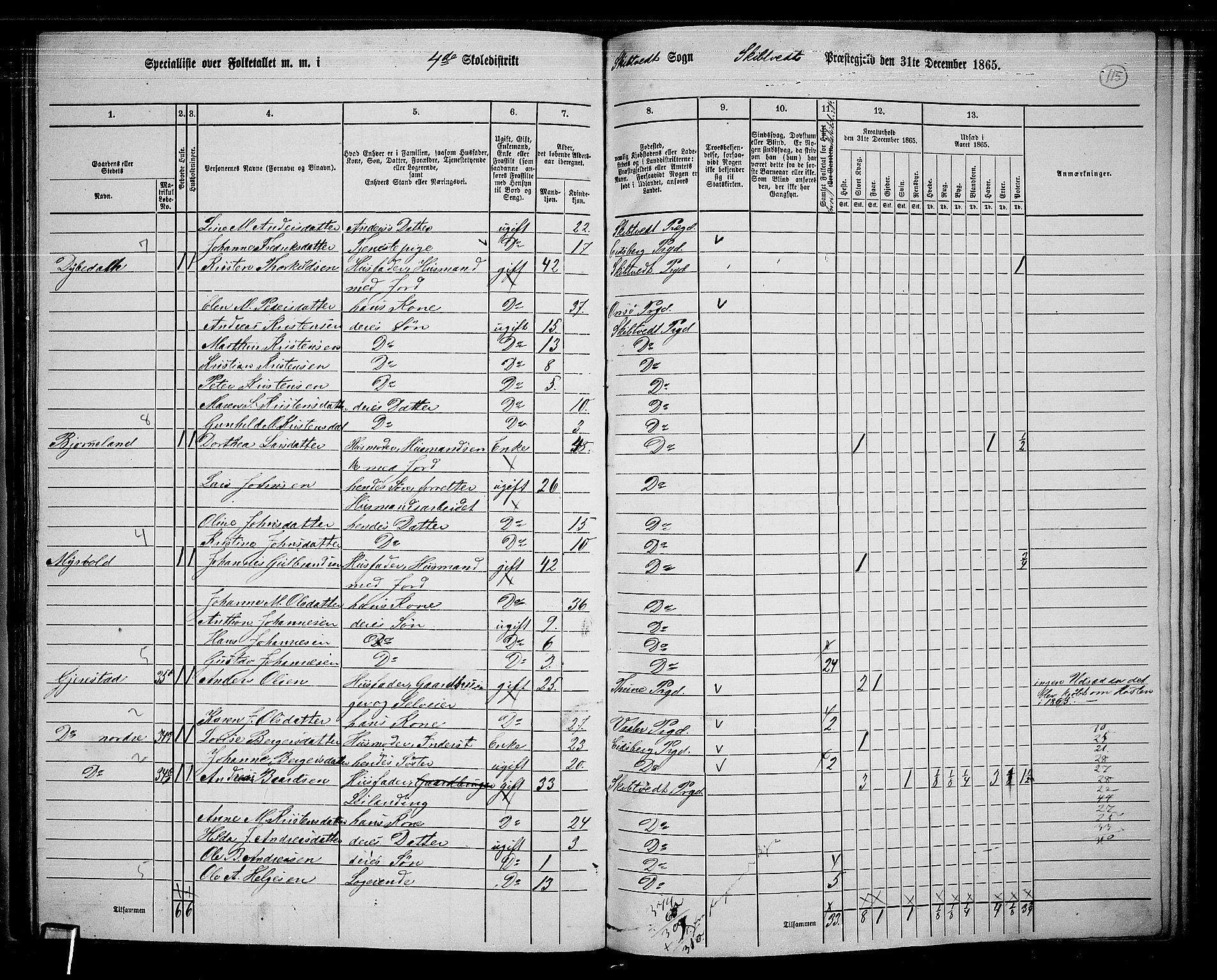RA, 1865 census for Skiptvet, 1865, p. 105