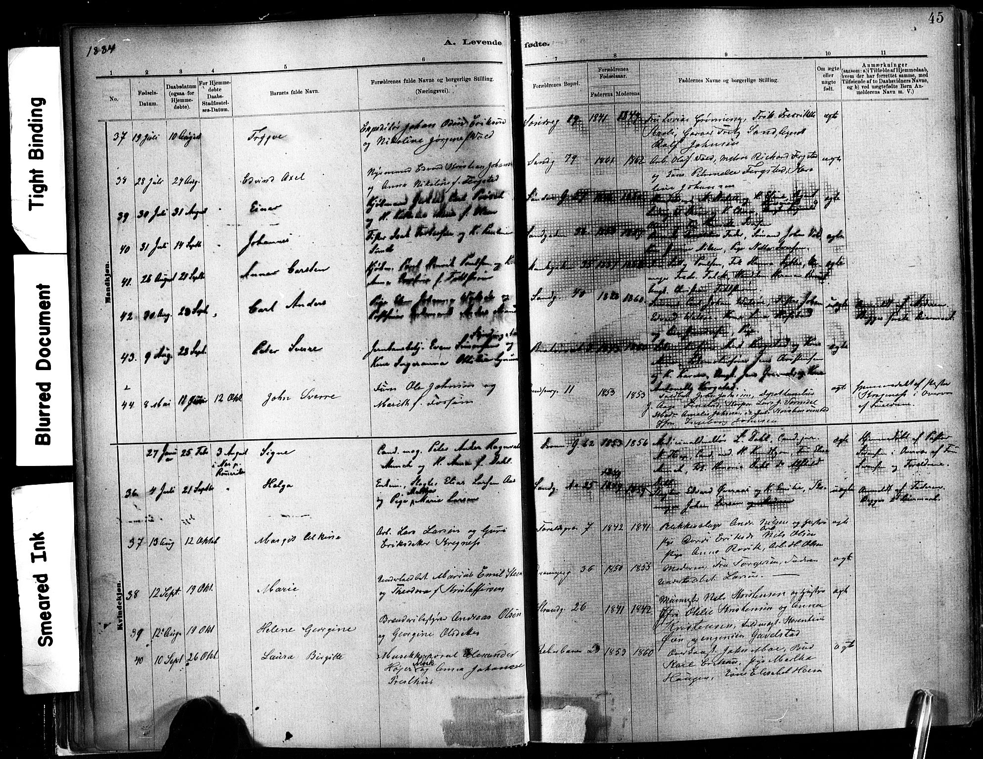 Ministerialprotokoller, klokkerbøker og fødselsregistre - Sør-Trøndelag, AV/SAT-A-1456/602/L0119: Parish register (official) no. 602A17, 1880-1901, p. 45