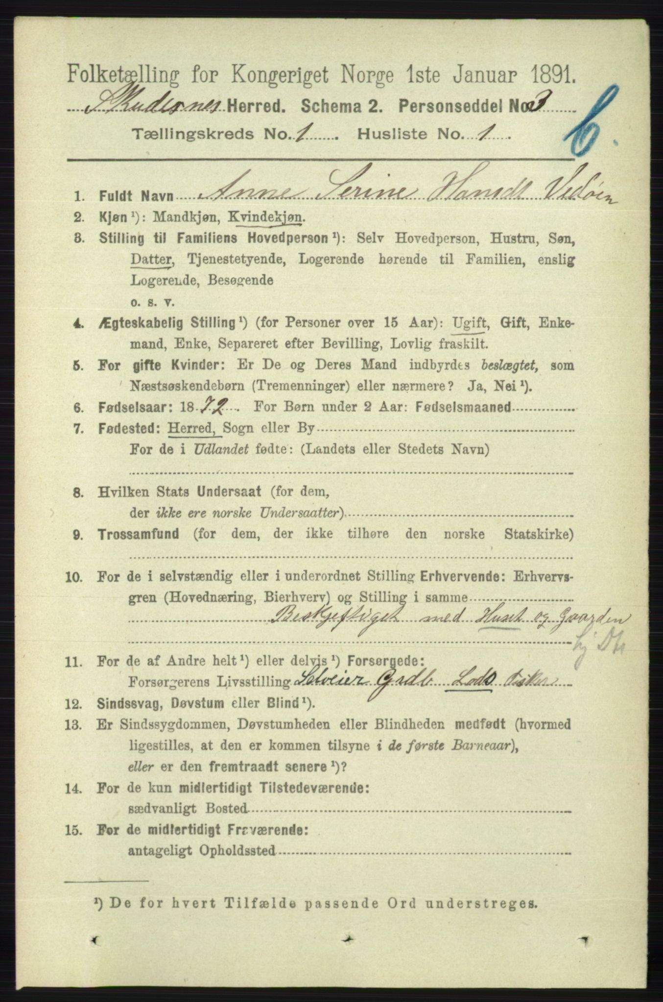 RA, 1891 census for 1150 Skudenes, 1891, p. 3394