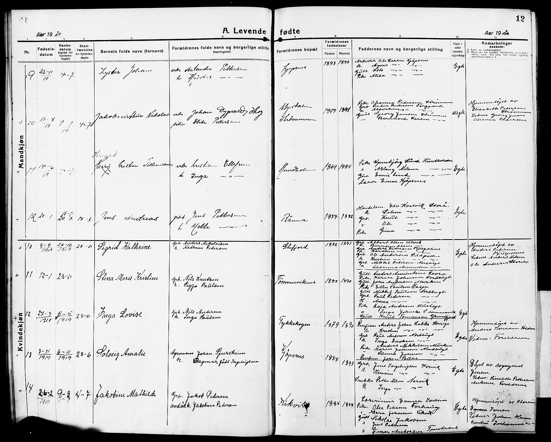 Ministerialprotokoller, klokkerbøker og fødselsregistre - Nordland, AV/SAT-A-1459/861/L0878: Parish register (copy) no. 861C04, 1917-1928, p. 12