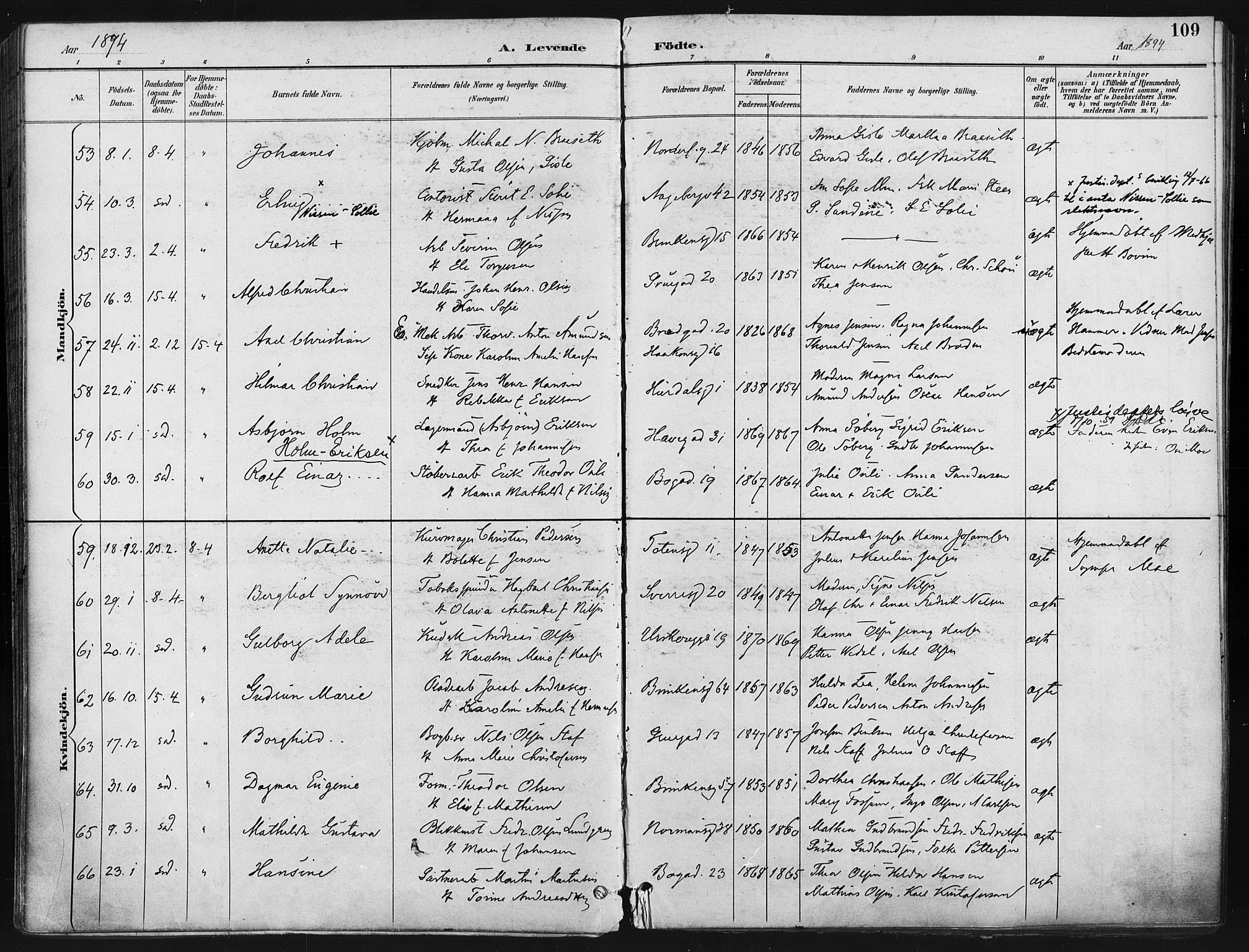 Kampen prestekontor Kirkebøker, AV/SAO-A-10853/F/Fa/L0005: Parish register (official) no. I 5, 1890-1902, p. 109