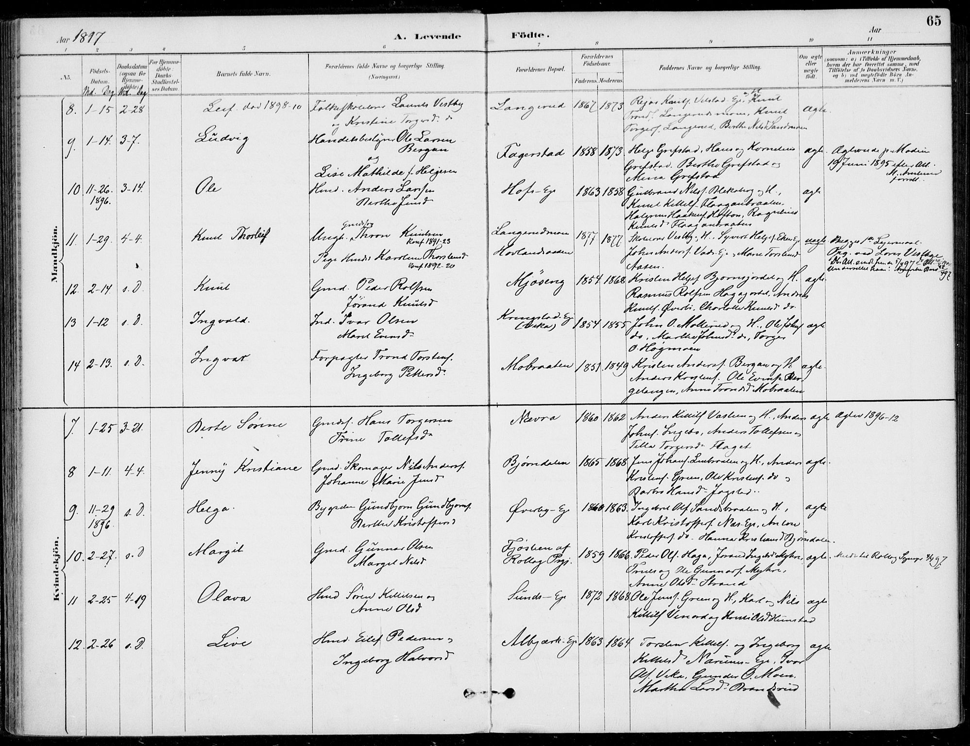 Sigdal kirkebøker, AV/SAKO-A-245/F/Fb/L0001: Parish register (official) no. II 1, 1888-1900, p. 65