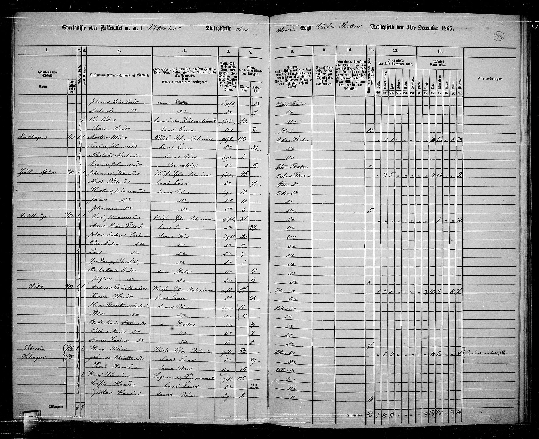 RA, 1865 census for Vestre Toten, 1865, p. 129