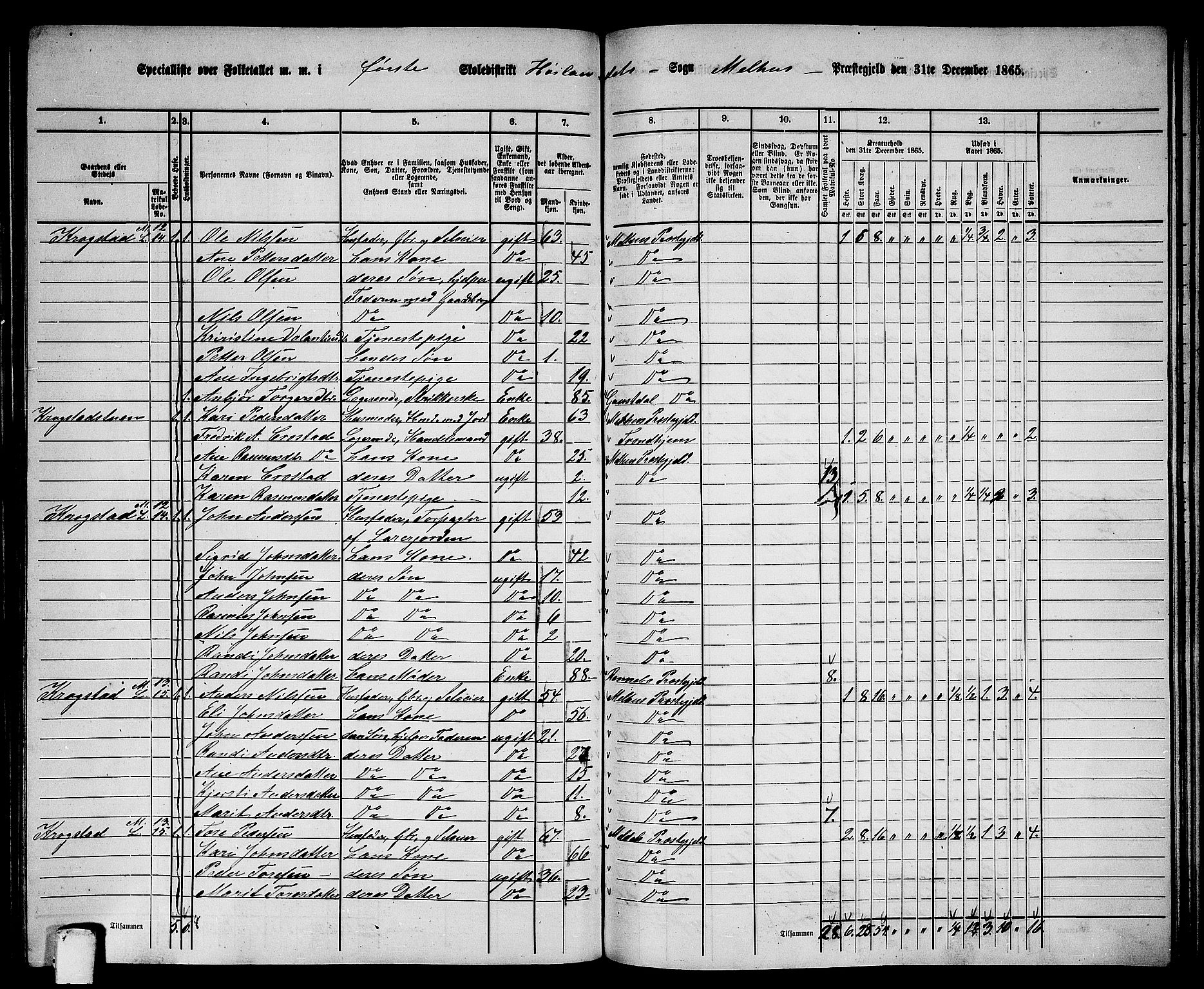 RA, 1865 census for Melhus, 1865, p. 169