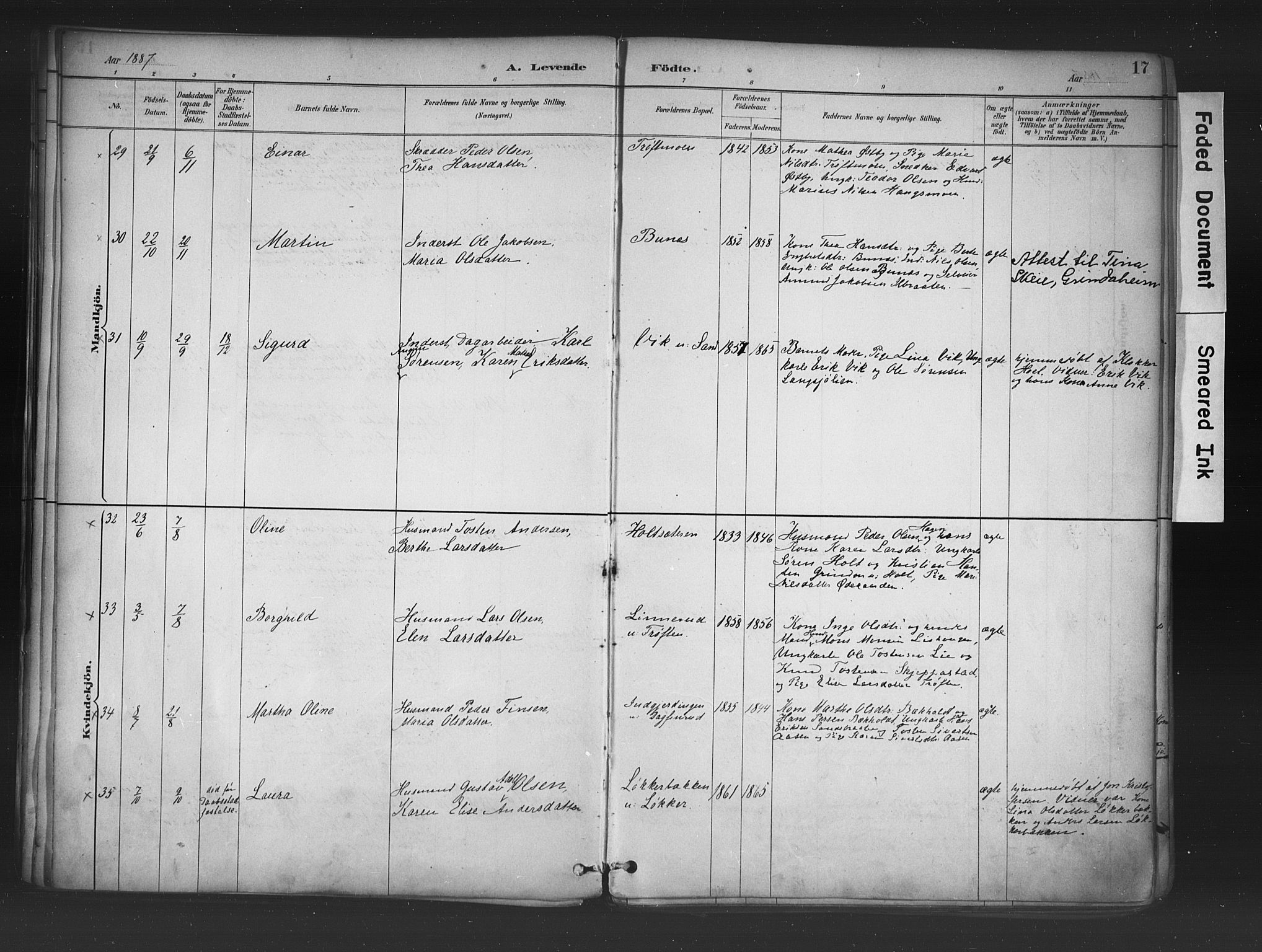 Nord-Odal prestekontor, AV/SAH-PREST-032/H/Ha/Haa/L0006: Parish register (official) no. 6, 1886-1901, p. 17