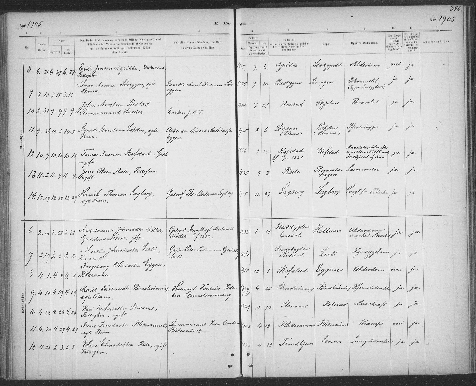 Ministerialprotokoller, klokkerbøker og fødselsregistre - Sør-Trøndelag, AV/SAT-A-1456/691/L1085: Parish register (official) no. 691A17, 1887-1908, p. 346