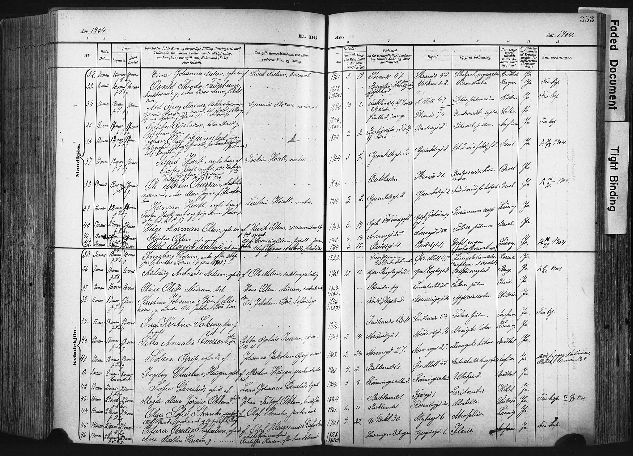 Ministerialprotokoller, klokkerbøker og fødselsregistre - Sør-Trøndelag, AV/SAT-A-1456/604/L0201: Parish register (official) no. 604A21, 1901-1911, p. 353