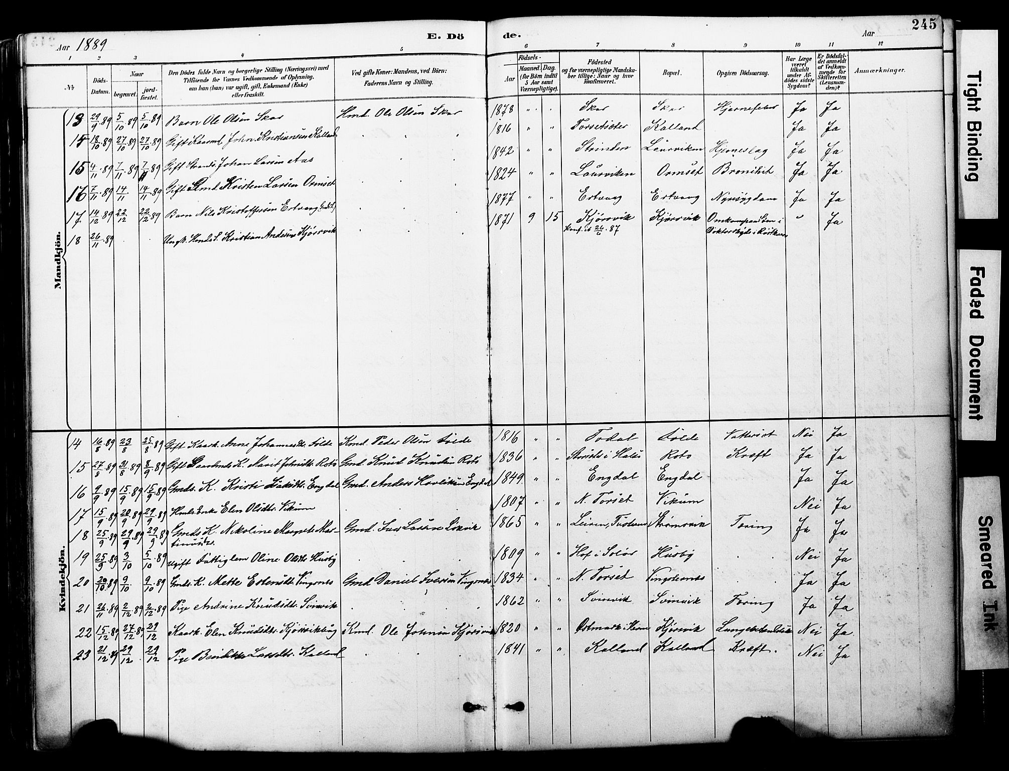 Ministerialprotokoller, klokkerbøker og fødselsregistre - Møre og Romsdal, AV/SAT-A-1454/578/L0907: Parish register (official) no. 578A06, 1887-1904, p. 245