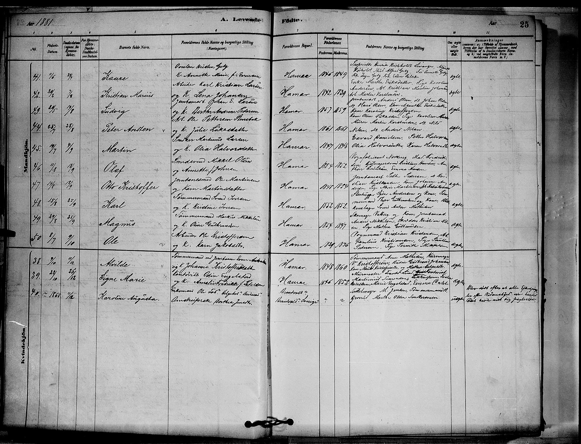 Vang prestekontor, Hedmark, SAH/PREST-008/H/Ha/Hab/L0012: Parish register (copy) no. 12, 1878-1889, p. 25