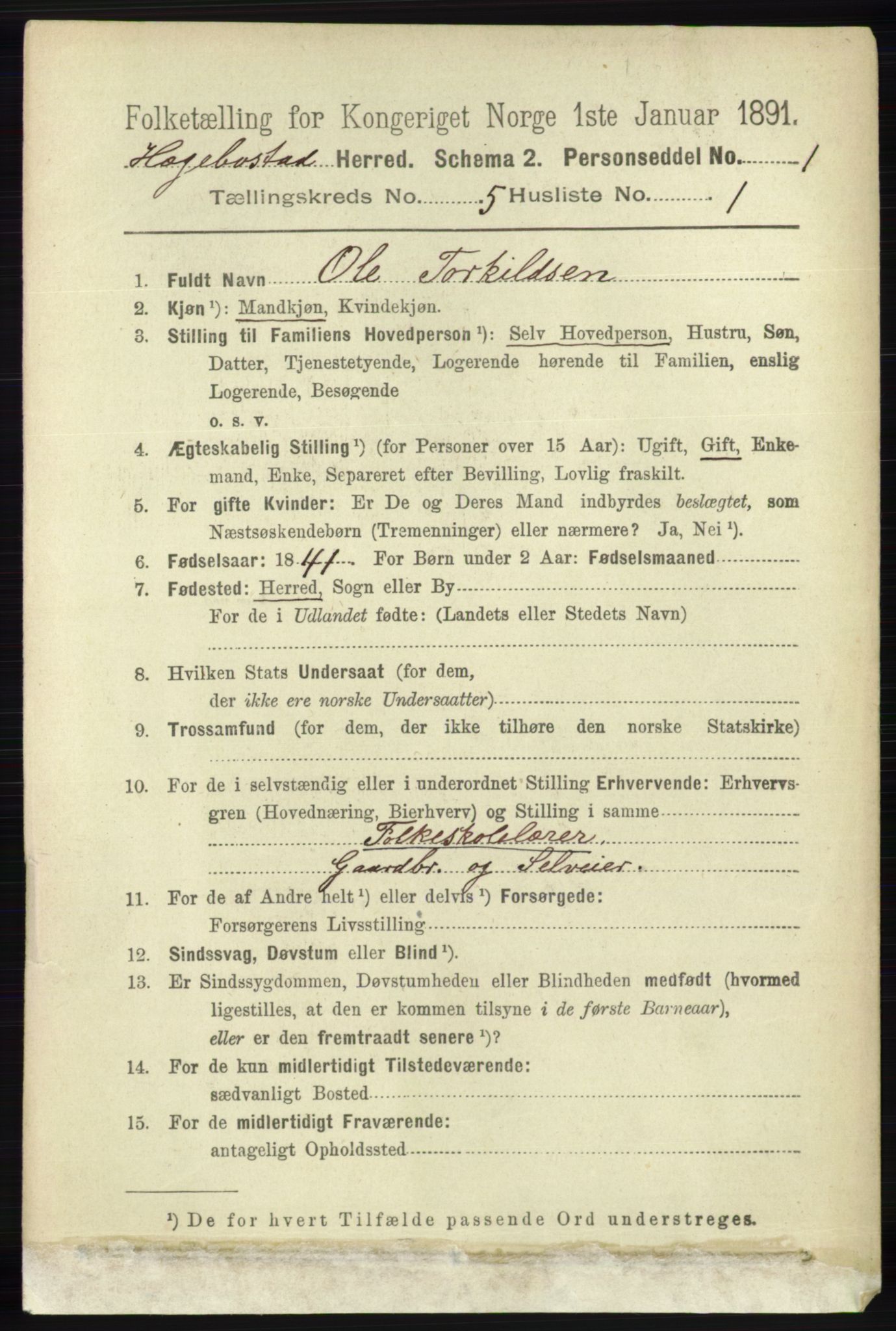 RA, 1891 census for 1034 Hægebostad, 1891, p. 1490