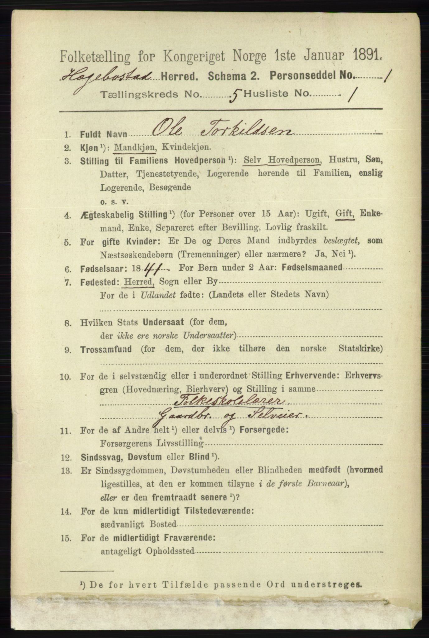 RA, 1891 census for 1034 Hægebostad, 1891, p. 1490