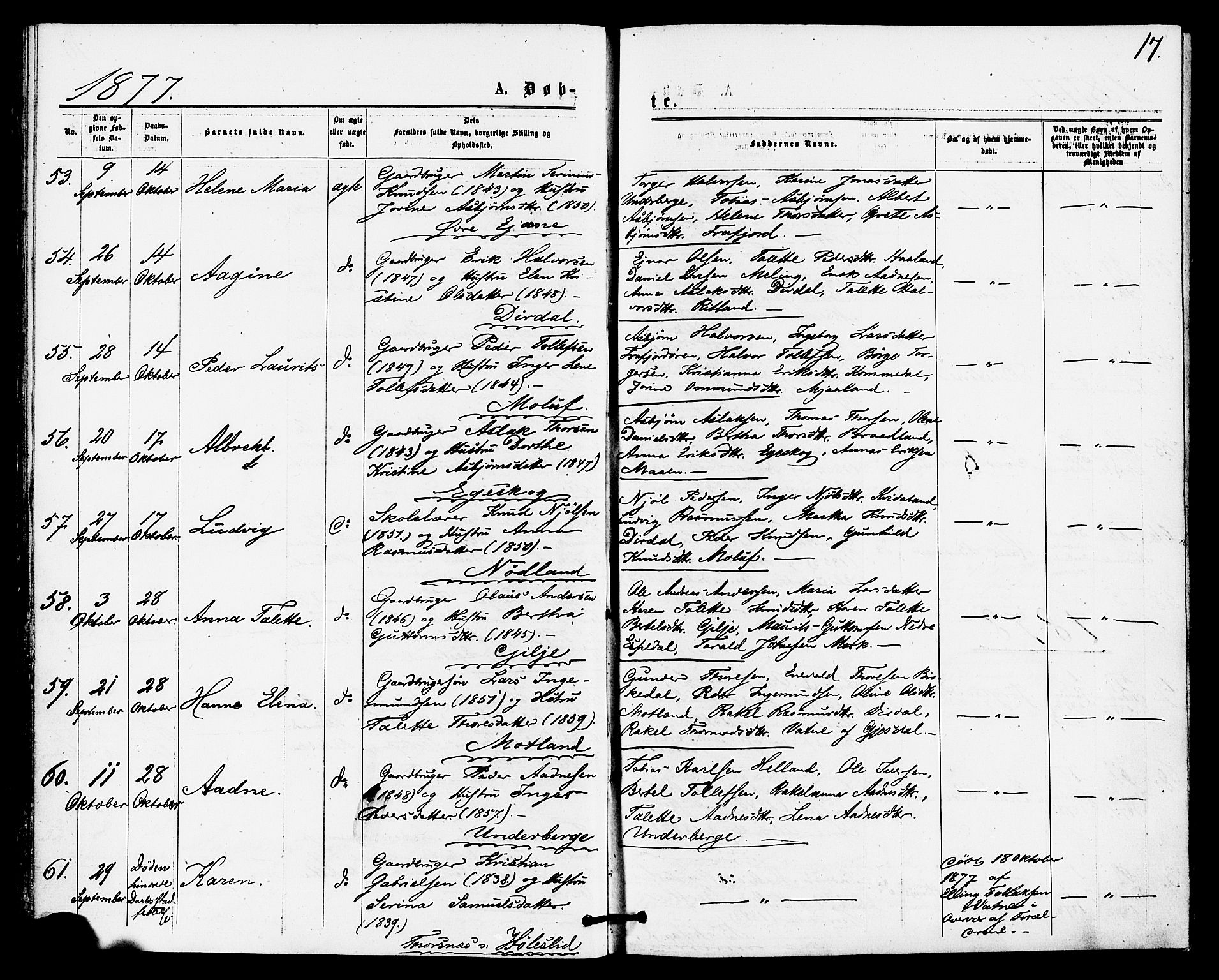 Høgsfjord sokneprestkontor, SAST/A-101624/H/Ha/Haa/L0004: Parish register (official) no. A 4, 1876-1884, p. 17