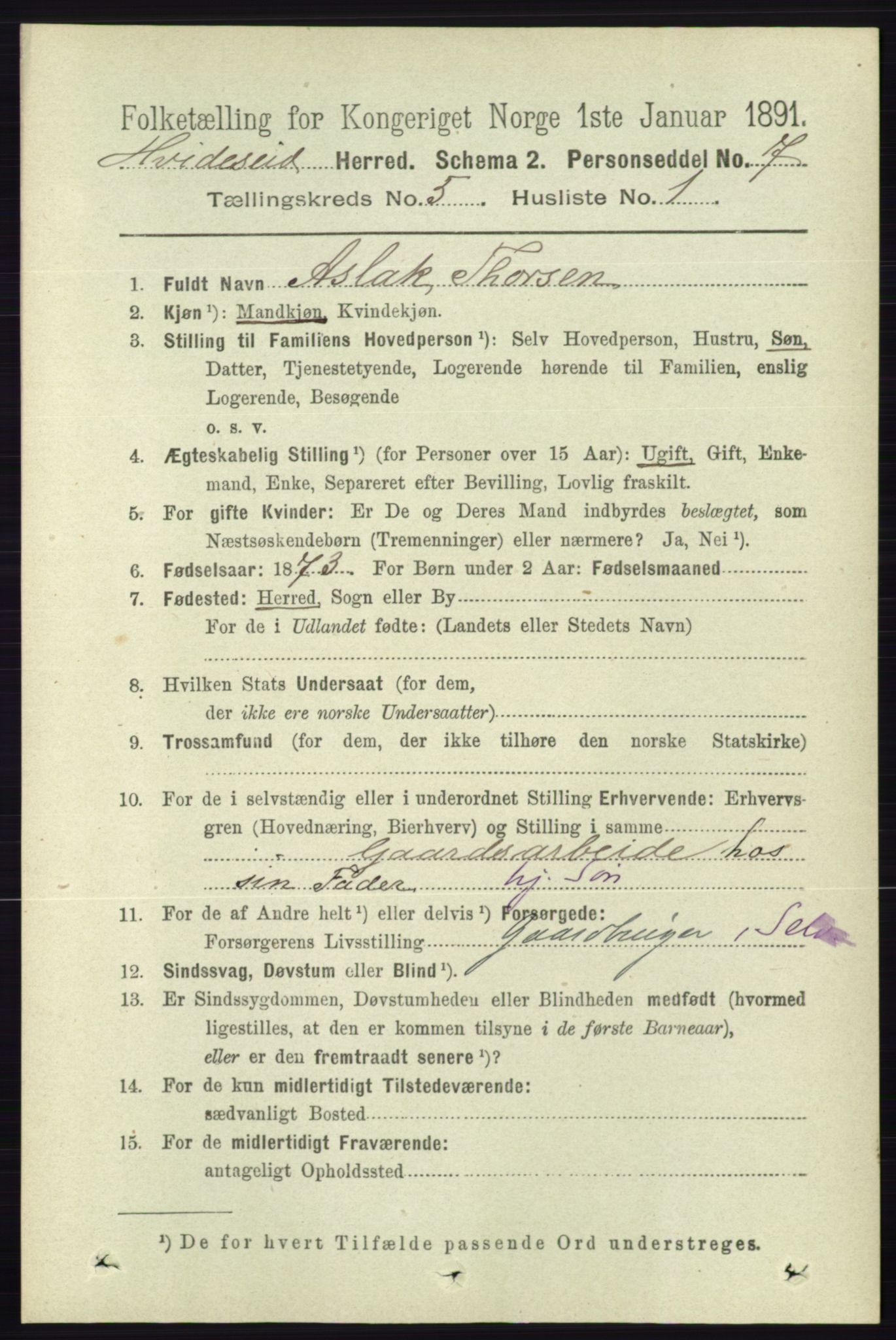 RA, 1891 census for 0829 Kviteseid, 1891, p. 913