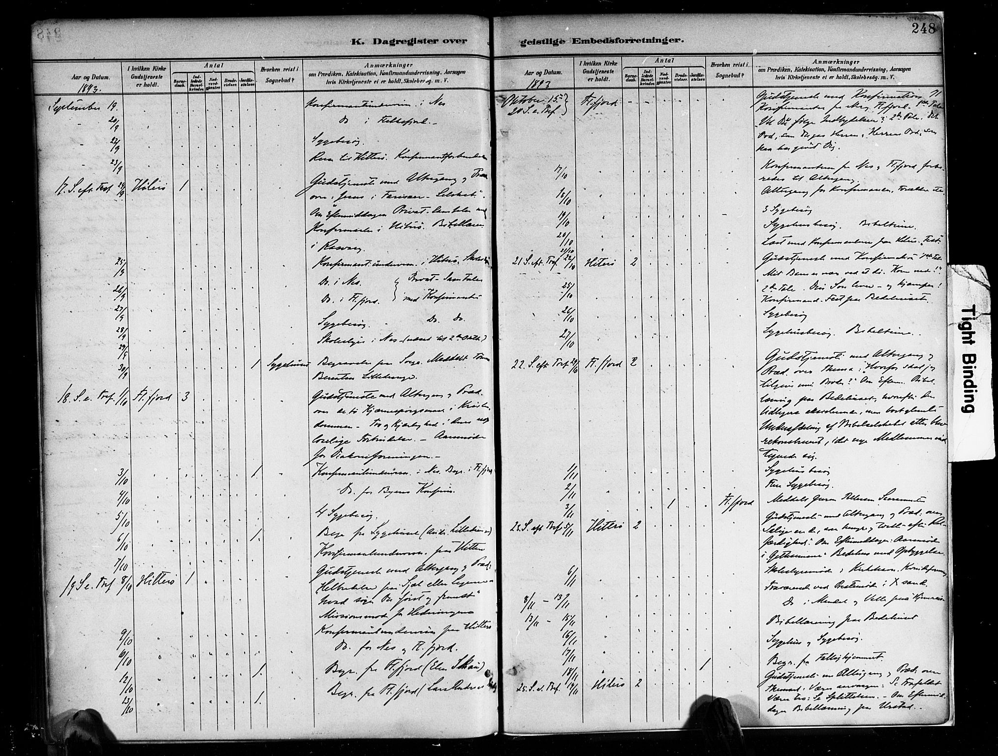 Flekkefjord sokneprestkontor, AV/SAK-1111-0012/F/Fa/Faa/L0001: Parish register (official) no. A 1, 1885-1900, p. 248