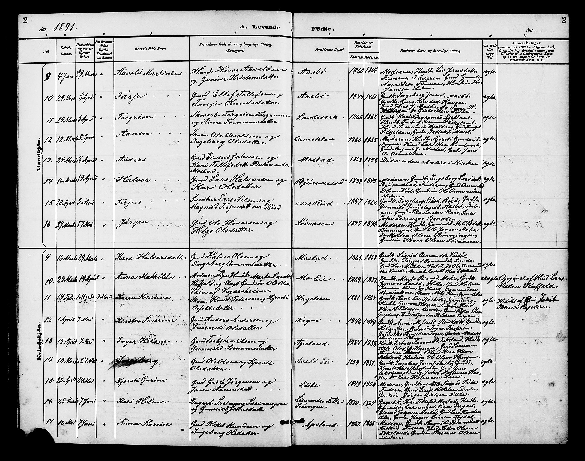 Gjerstad sokneprestkontor, SAK/1111-0014/F/Fb/Fba/L0007: Parish register (copy) no. B 7, 1891-1908, p. 2