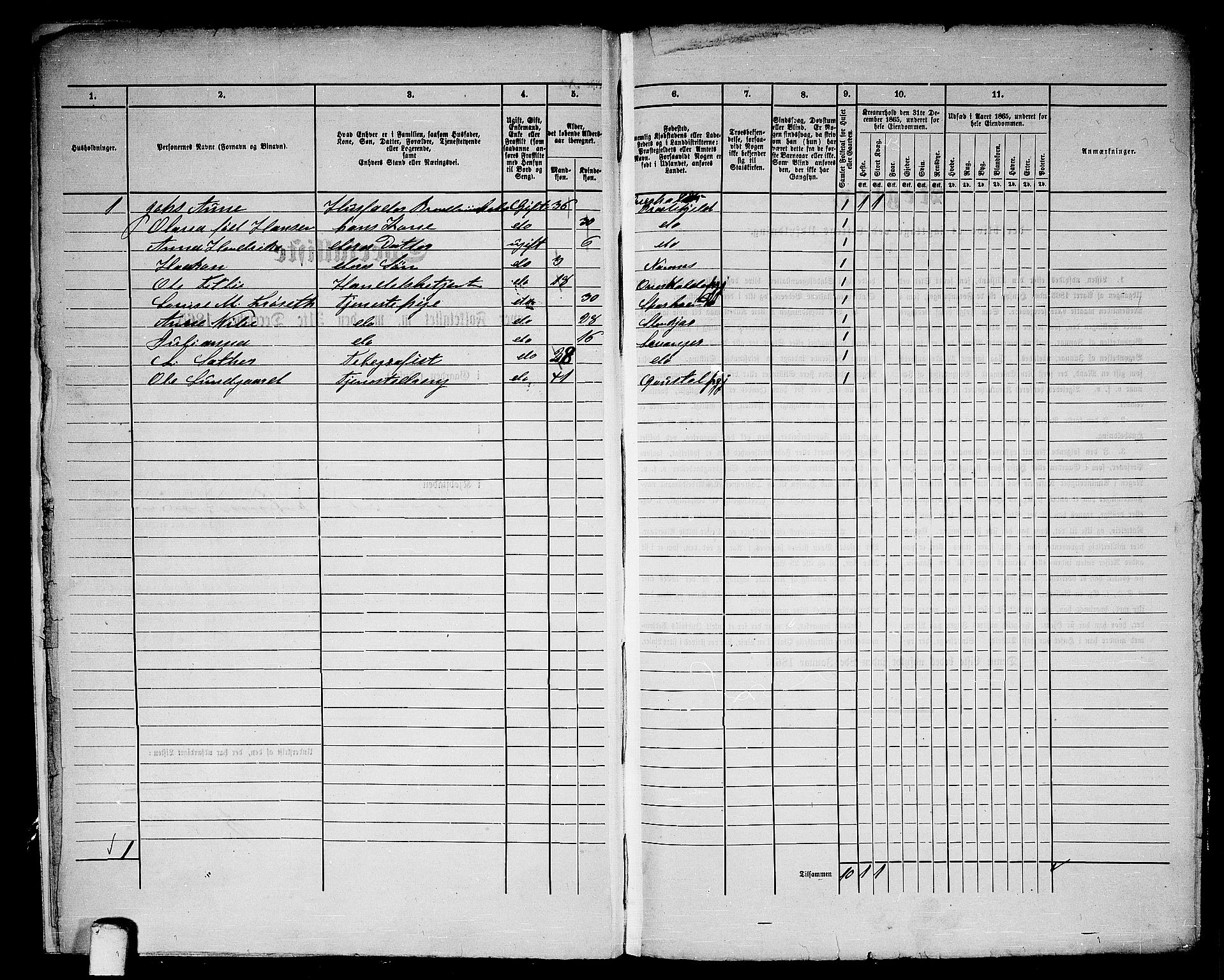 RA, 1865 census for Namsos/Namsos, 1865, p. 8