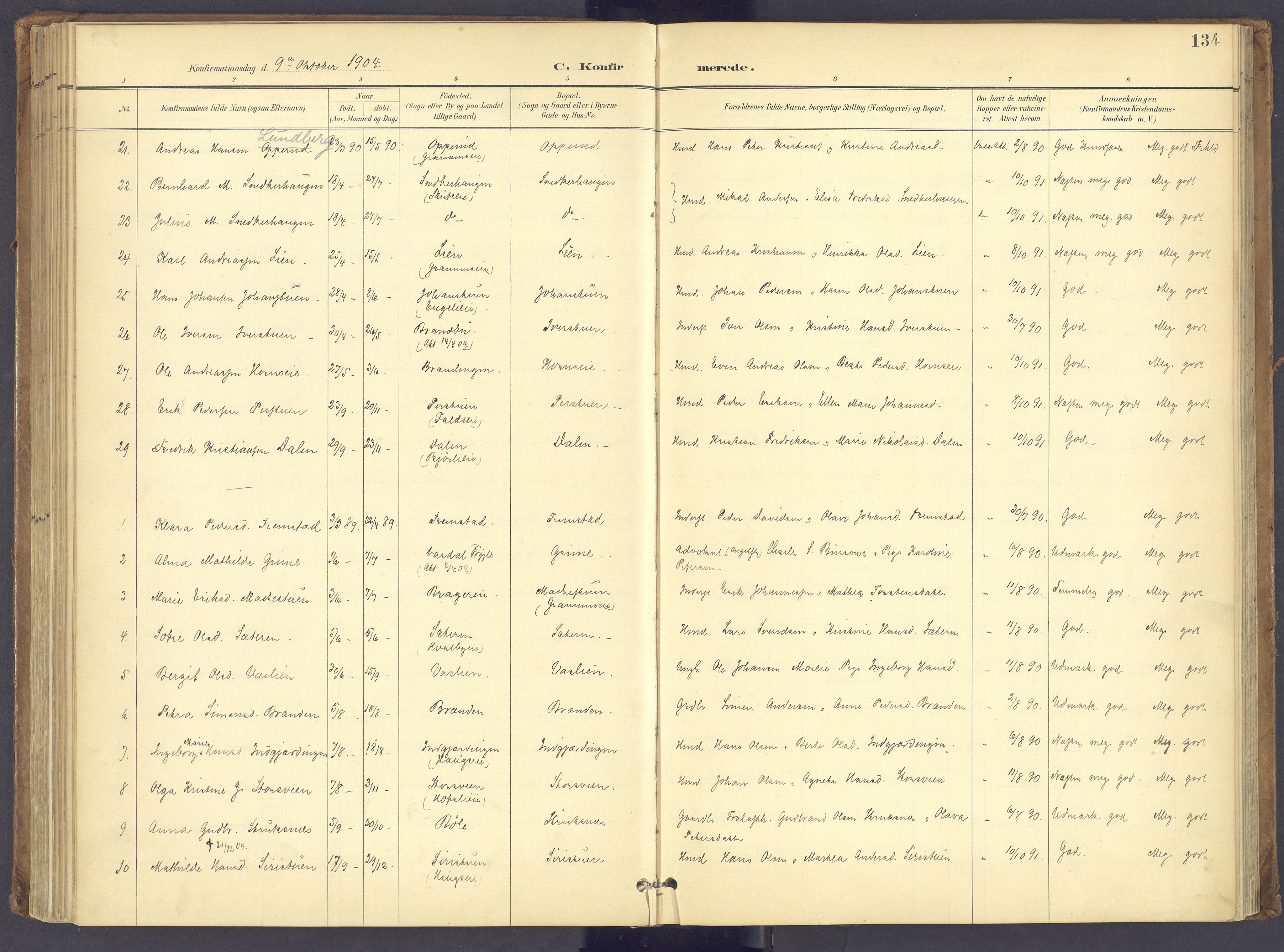 Søndre Land prestekontor, SAH/PREST-122/K/L0006: Parish register (official) no. 6, 1895-1904, p. 134