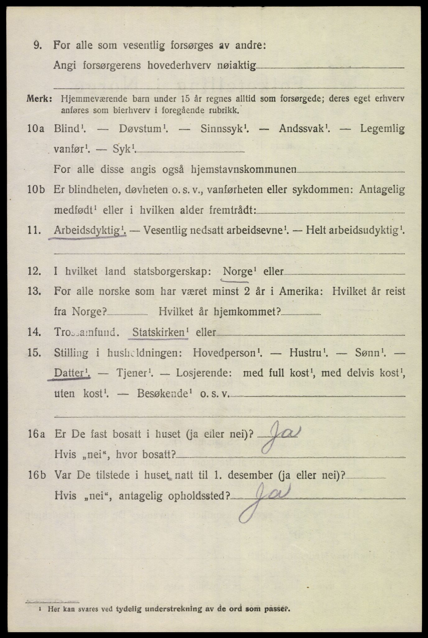 SAH, 1920 census for Dovre, 1920, p. 4553