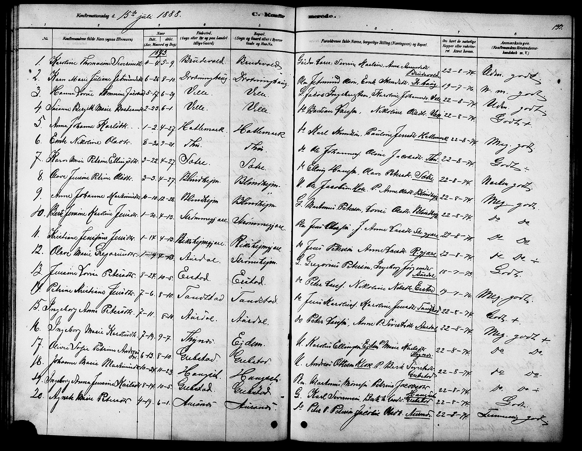 Ministerialprotokoller, klokkerbøker og fødselsregistre - Møre og Romsdal, AV/SAT-A-1454/523/L0339: Parish register (copy) no. 523C02, 1878-1891, p. 133