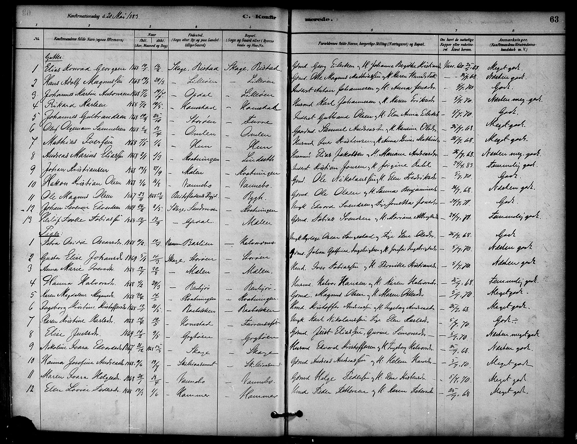 Ministerialprotokoller, klokkerbøker og fødselsregistre - Nord-Trøndelag, AV/SAT-A-1458/766/L0563: Parish register (official) no. 767A01, 1881-1899, p. 63