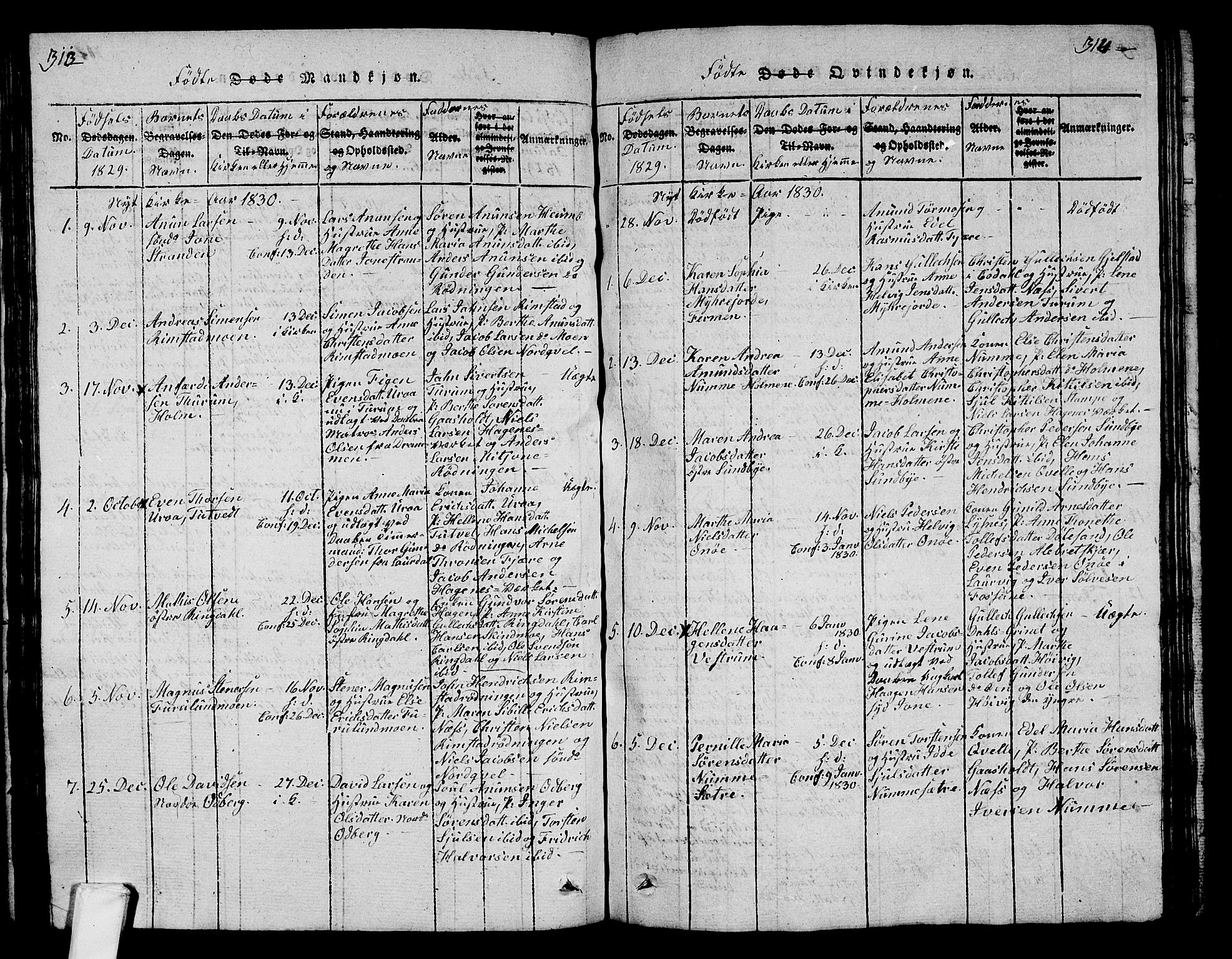 Hedrum kirkebøker, SAKO/A-344/G/Ga/L0003: Parish register (copy) no. I 3, 1817-1835, p. 313-314