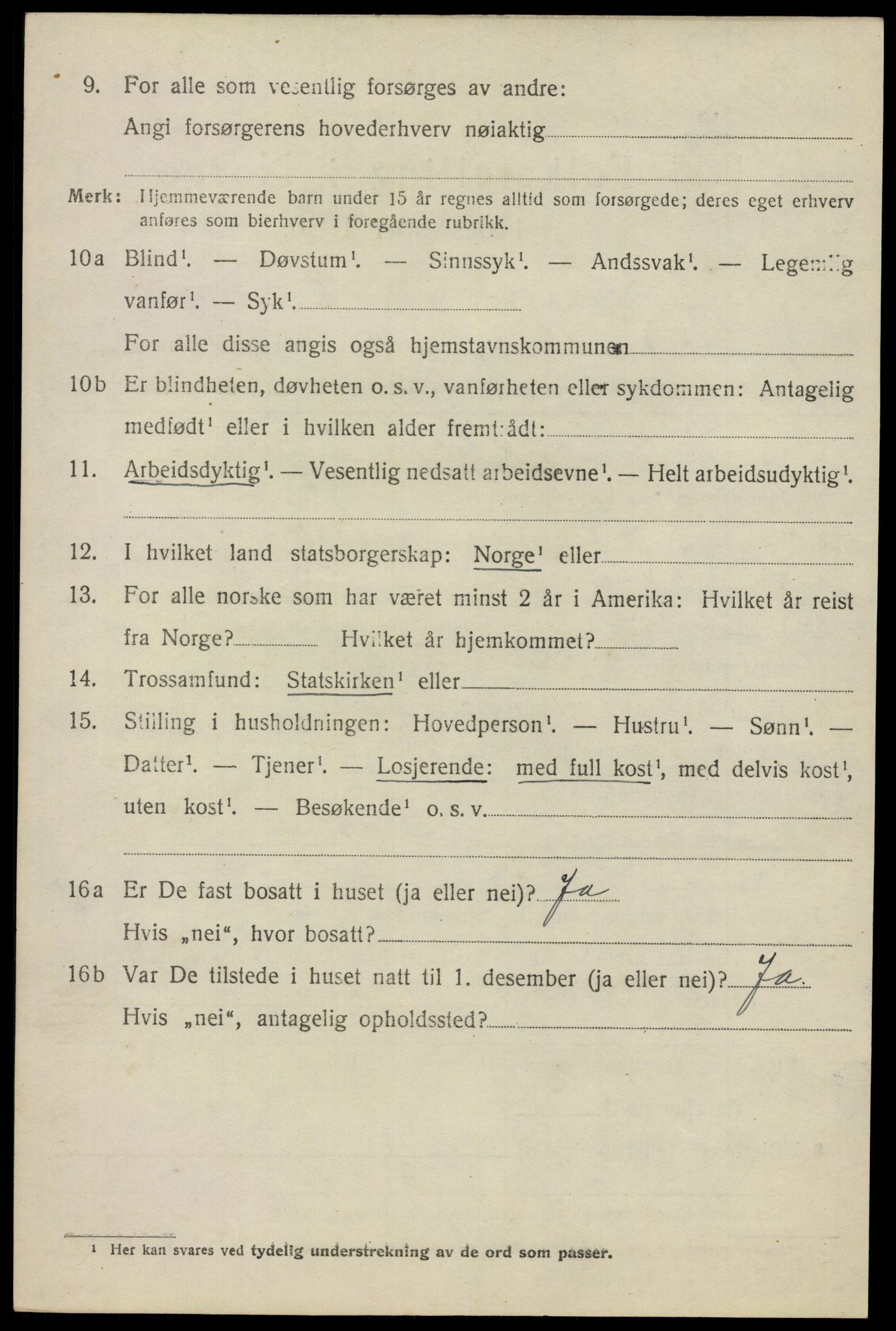 SAO, 1920 census for Nes, 1920, p. 8319