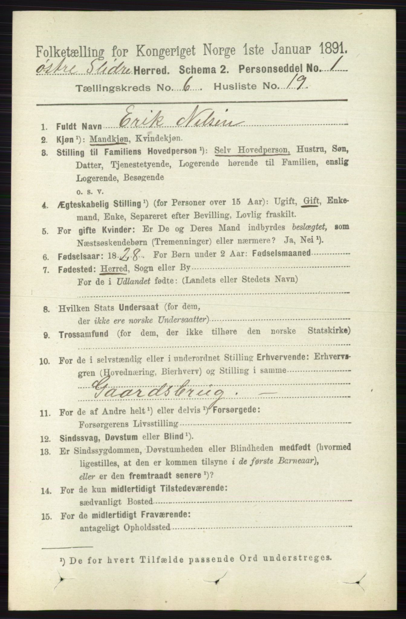 RA, 1891 census for 0544 Øystre Slidre, 1891, p. 1894