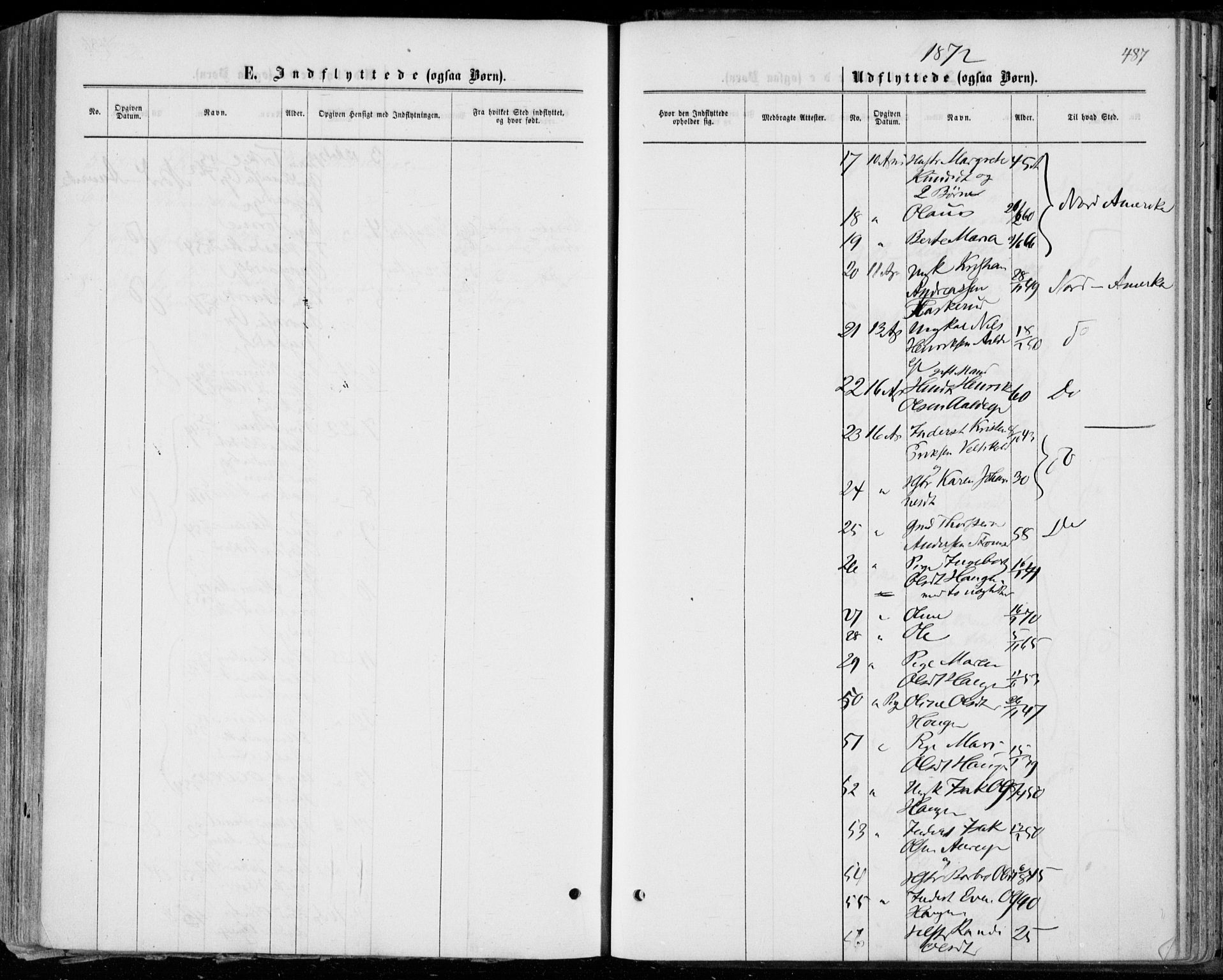 Norderhov kirkebøker, SAKO/A-237/F/Fa/L0013: Parish register (official) no. 13, 1866-1874, p. 487