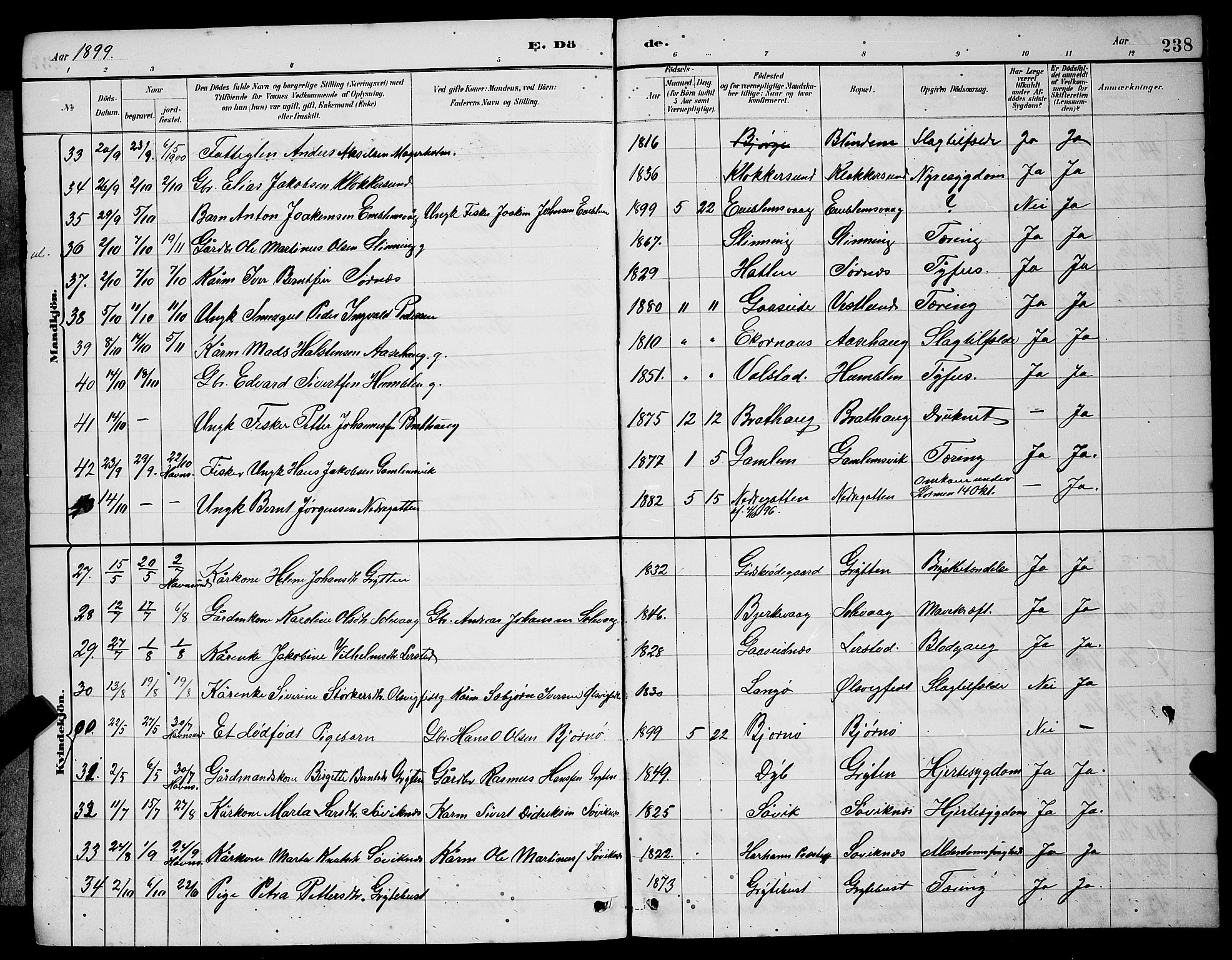 Ministerialprotokoller, klokkerbøker og fødselsregistre - Møre og Romsdal, SAT/A-1454/528/L0430: Parish register (copy) no. 528C11, 1884-1899, p. 238