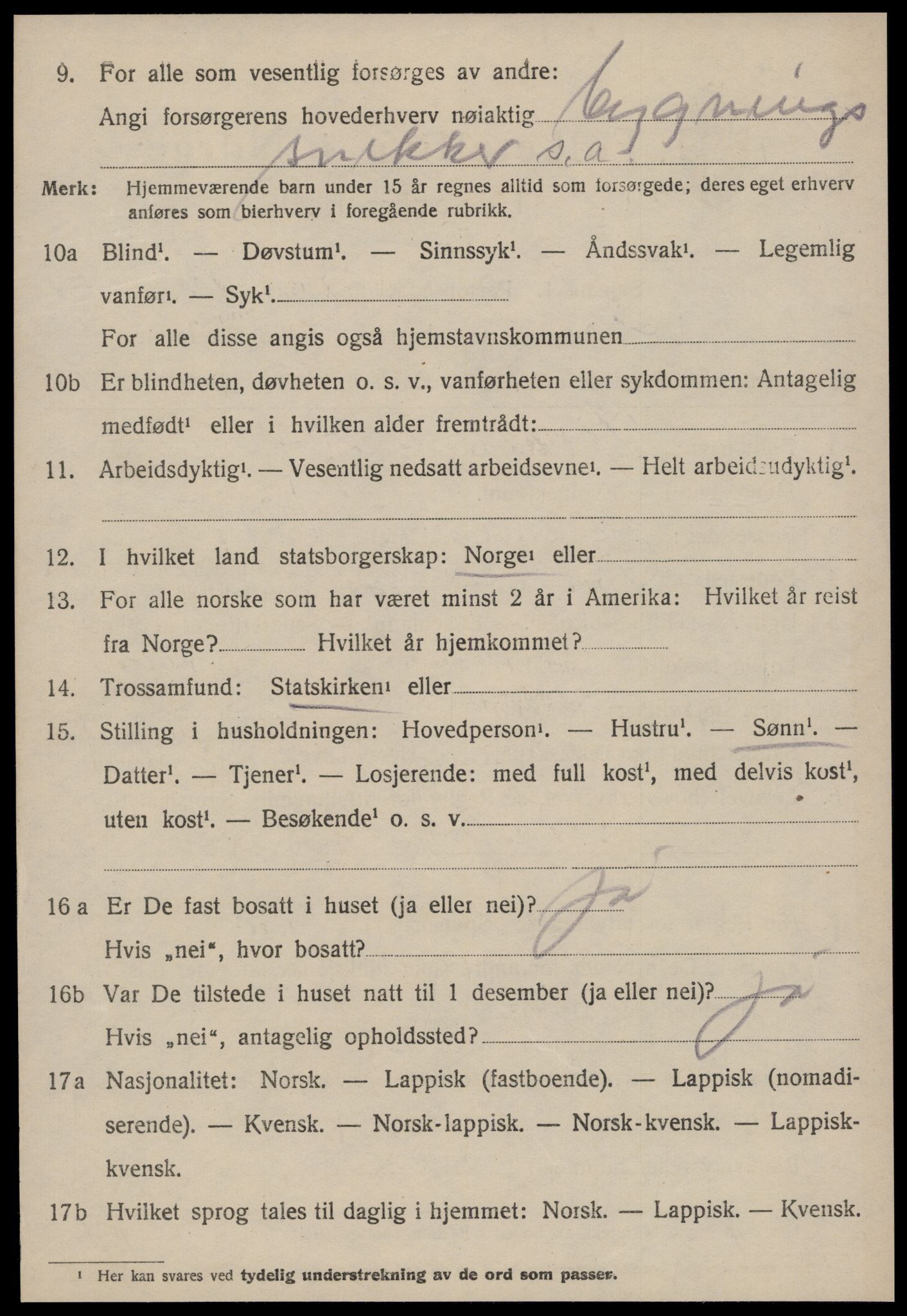 SAT, 1920 census for Strinda, 1920, p. 19763